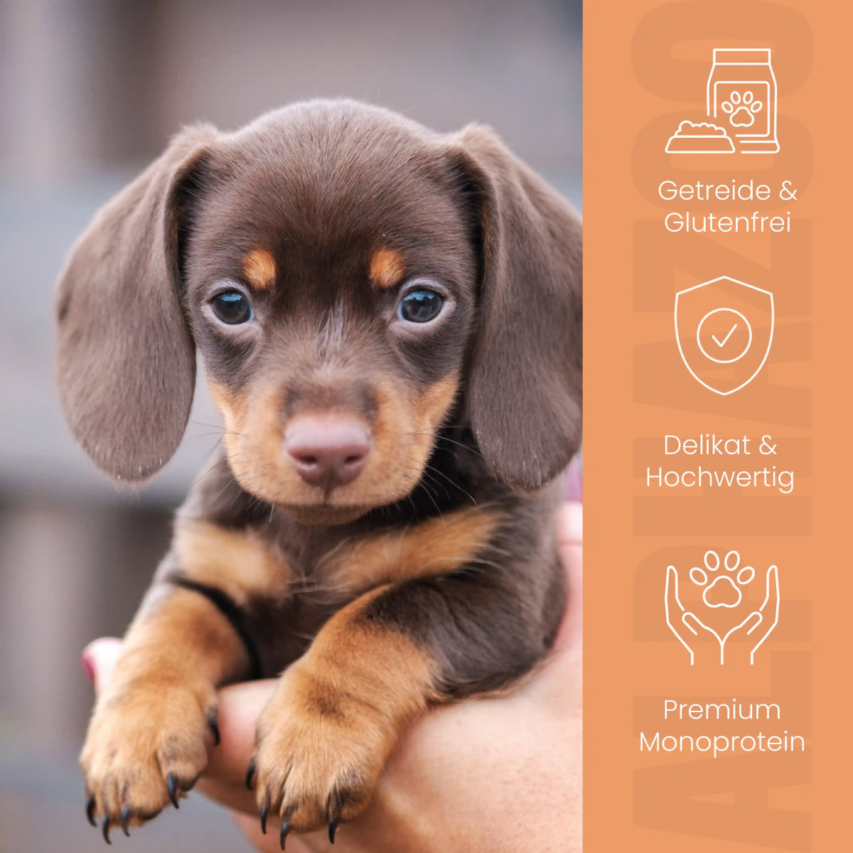 
                      Duck + Chicken Wet Food for Puppies alphazoo wet food with duck and chicken - grain-free puppy food
                      