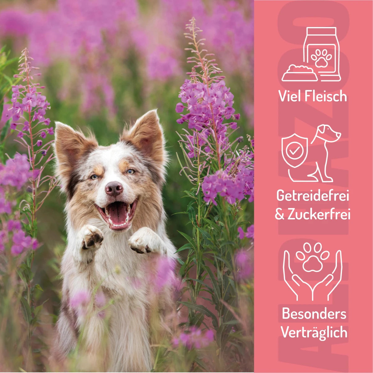 Duck Without Sweet &amp; Sour 65 g Duck Without Sweet & Sour – Soft snack made from 96% duck for dogs