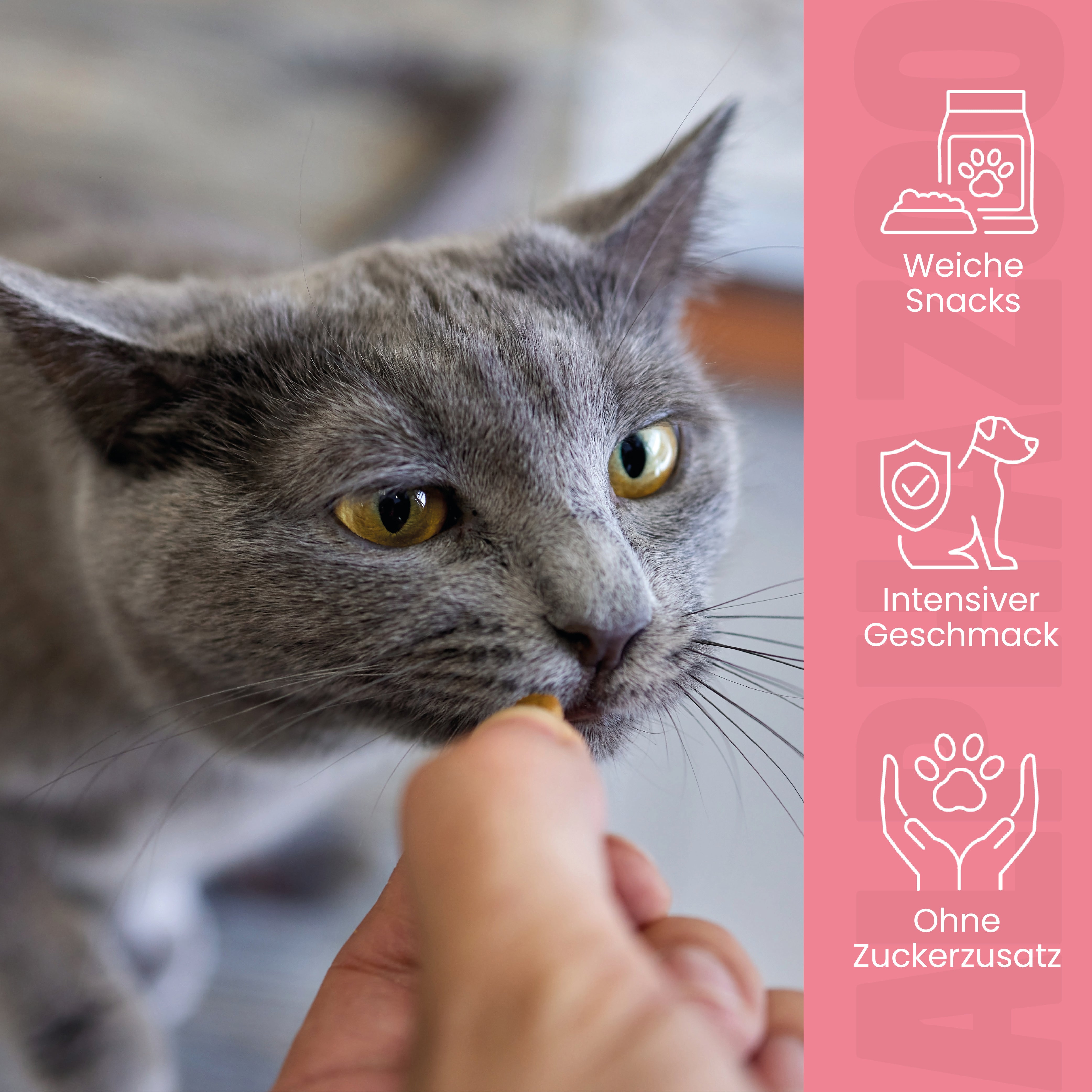 Ente Ente Ente Ente Ente Ente Ente Ente – Softsnacks für Katzen mit extra viel Ente