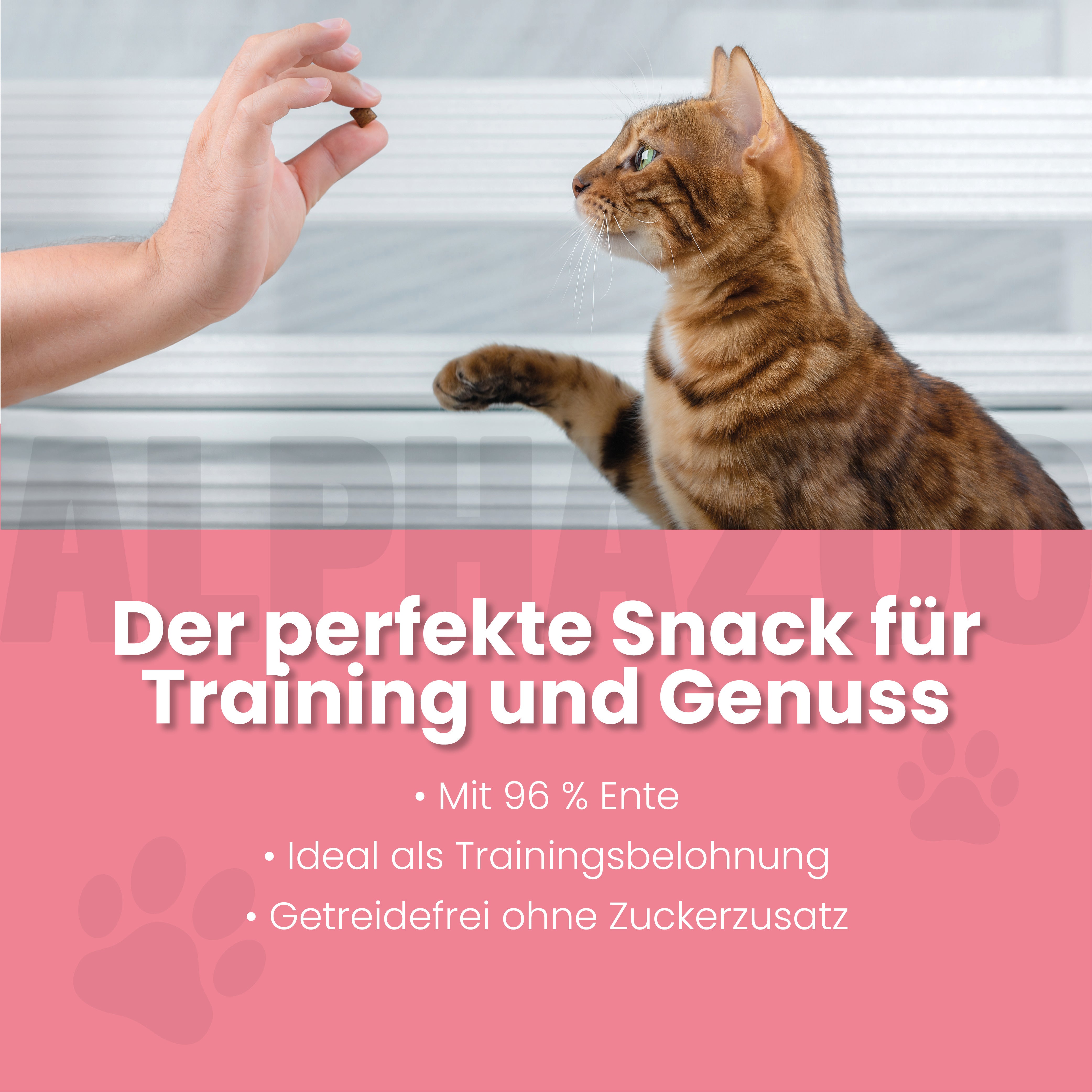 Ente Ente Ente Ente Ente Ente Ente Ente – Softsnacks für Katzen mit extra viel Ente