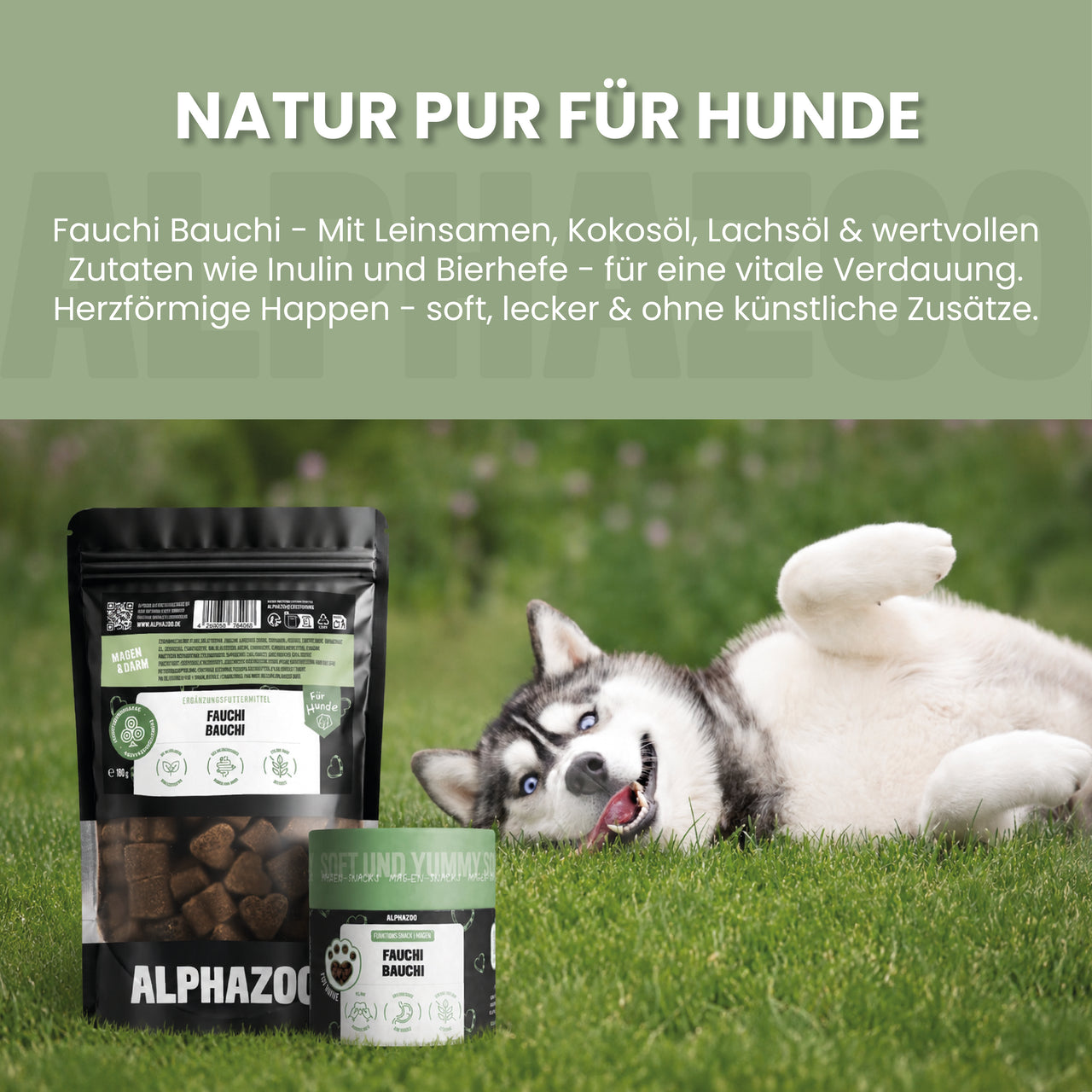 
                      Fauchi Bauchi Fauchi Bauchi Hundesnack – Leckerlis für sensiblen Mägen
                      
