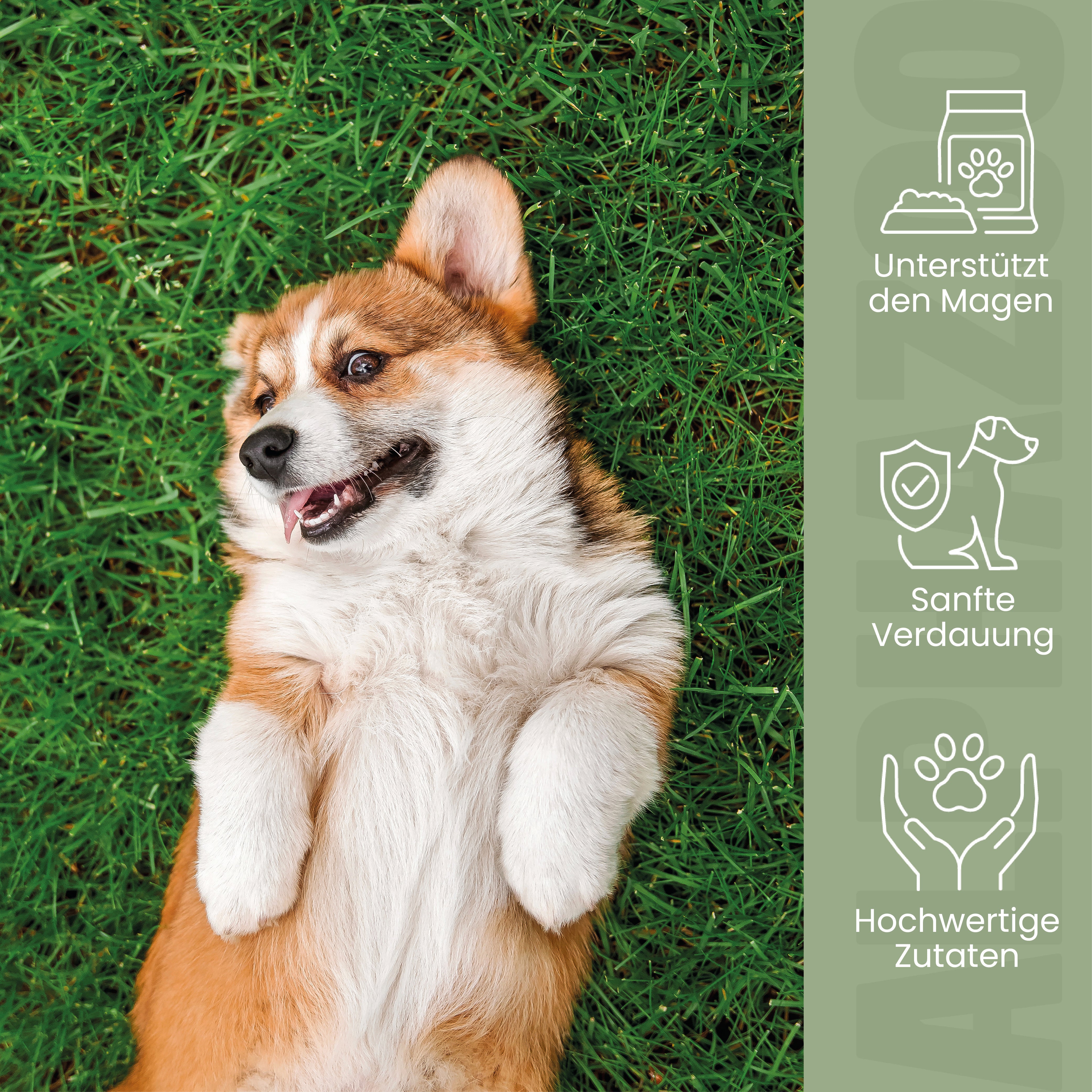 Fauchi Bauchi Fauchi Bauchi Hundesnack – Leckerlis für sensiblen Mägen