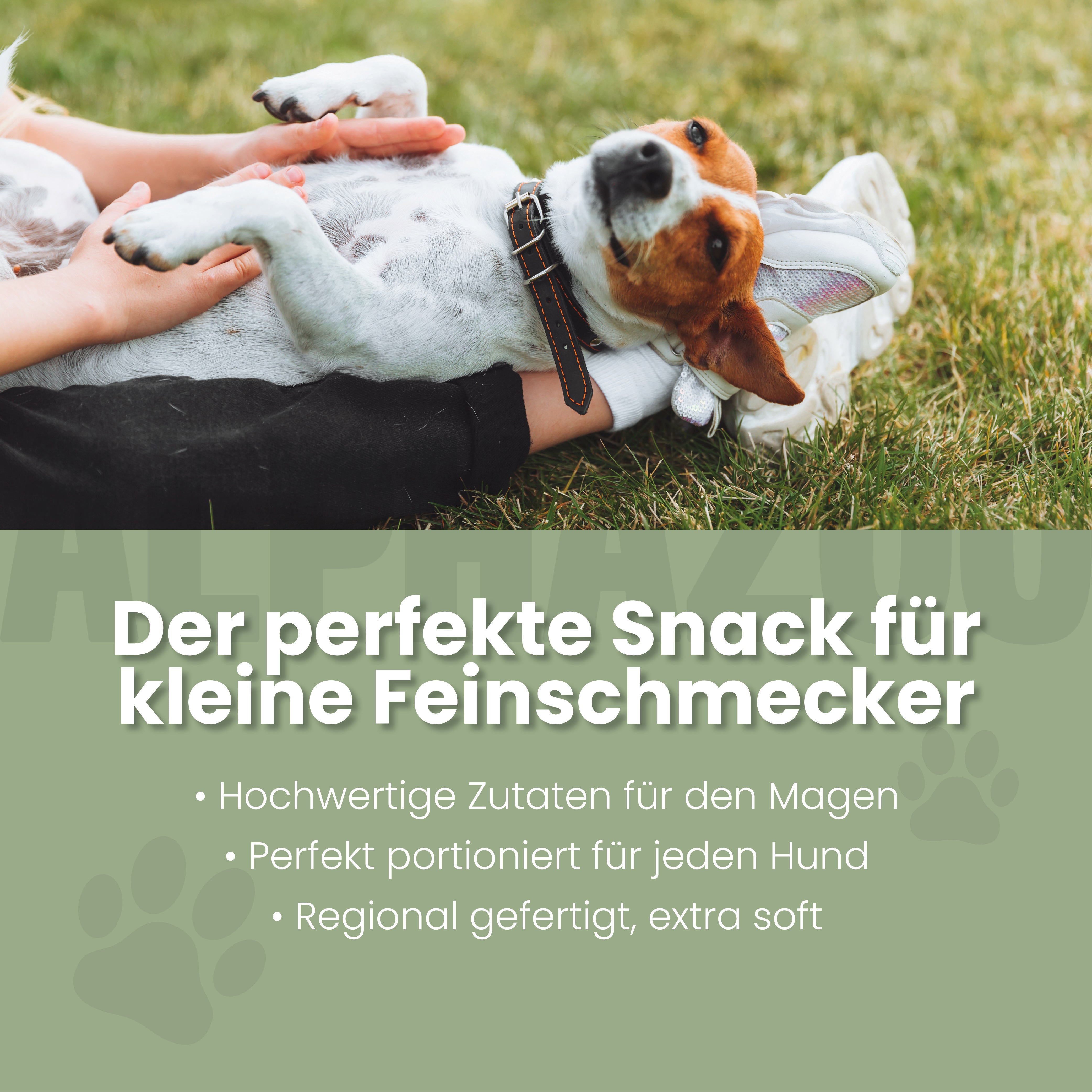 Fauchi Bauchi Fauchi Bauchi Hundesnack – Leckerlis für sensiblen Mägen