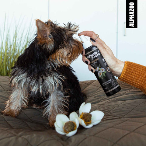 Fellliebe Duo I Bundle