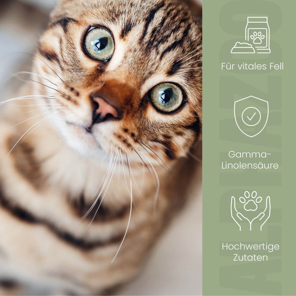 
                      Fellliebe food oil for cats Fellliebe Food Oil with Salmon & Argan Oil – For shiny fur & healthy skin in cats
                      