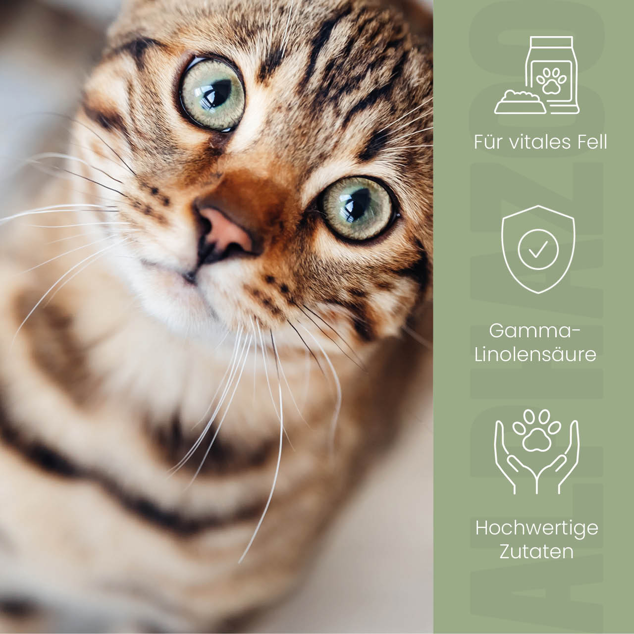 
                      Fellliebe Futteröl für Katzen Fellliebe Futteröl mit Lachs- & Arganöl – Für glänzendes Fell & gesunde Haut bei Katzen
                      