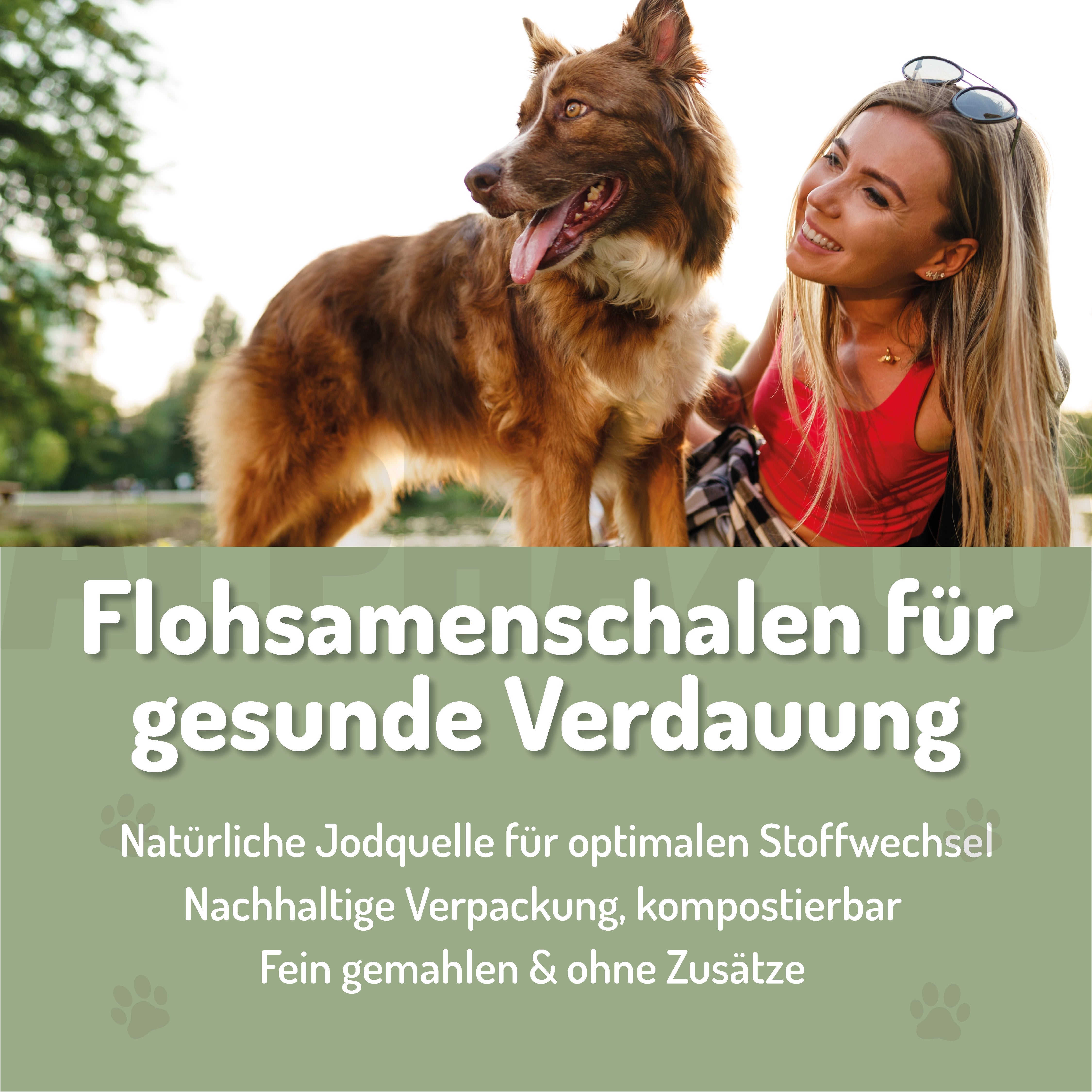 Flohsamenschalen gemahlen Flohsamenschalen für Hunde & Katzen – natürliche Ballaststoffquelle  zur sanfte Unterstützung der Verdauung & Darmbalance