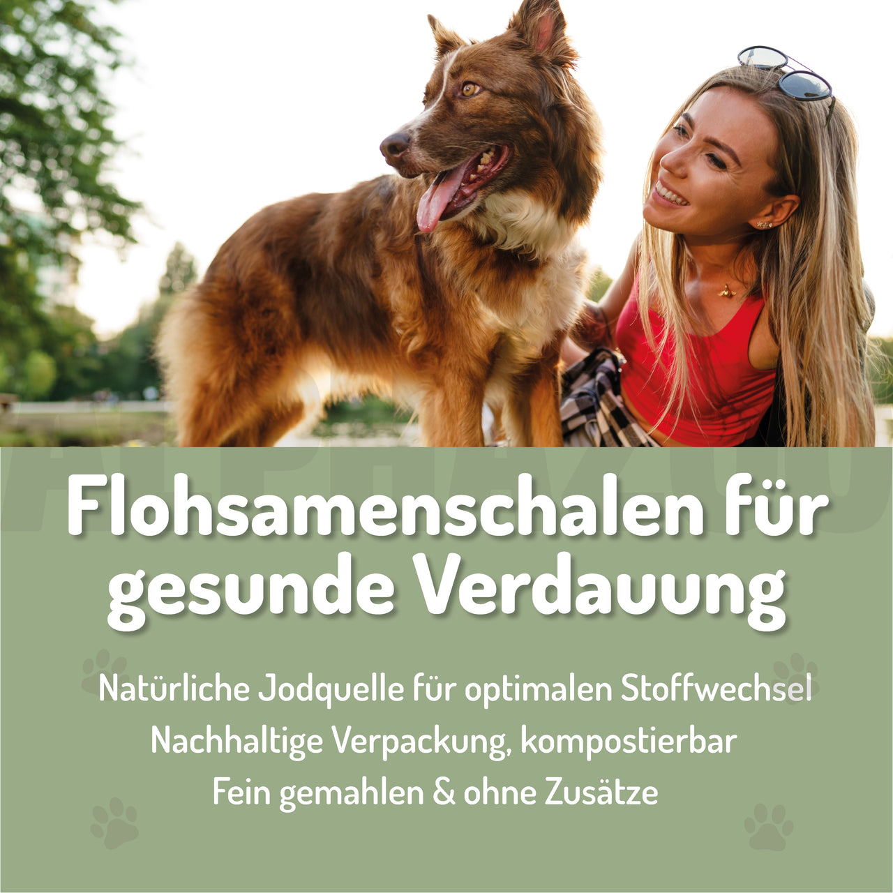 
                      Flohsamenschalen gemahlen Flohsamenschalen für Hunde & Katzen – natürliche Ballaststoffquelle  zur sanfte Unterstützung der Verdauung & Darmbalance
                      