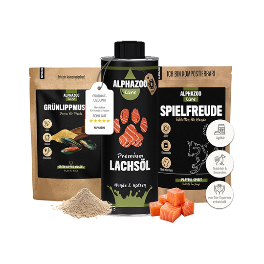 Joints Combo I Bundle