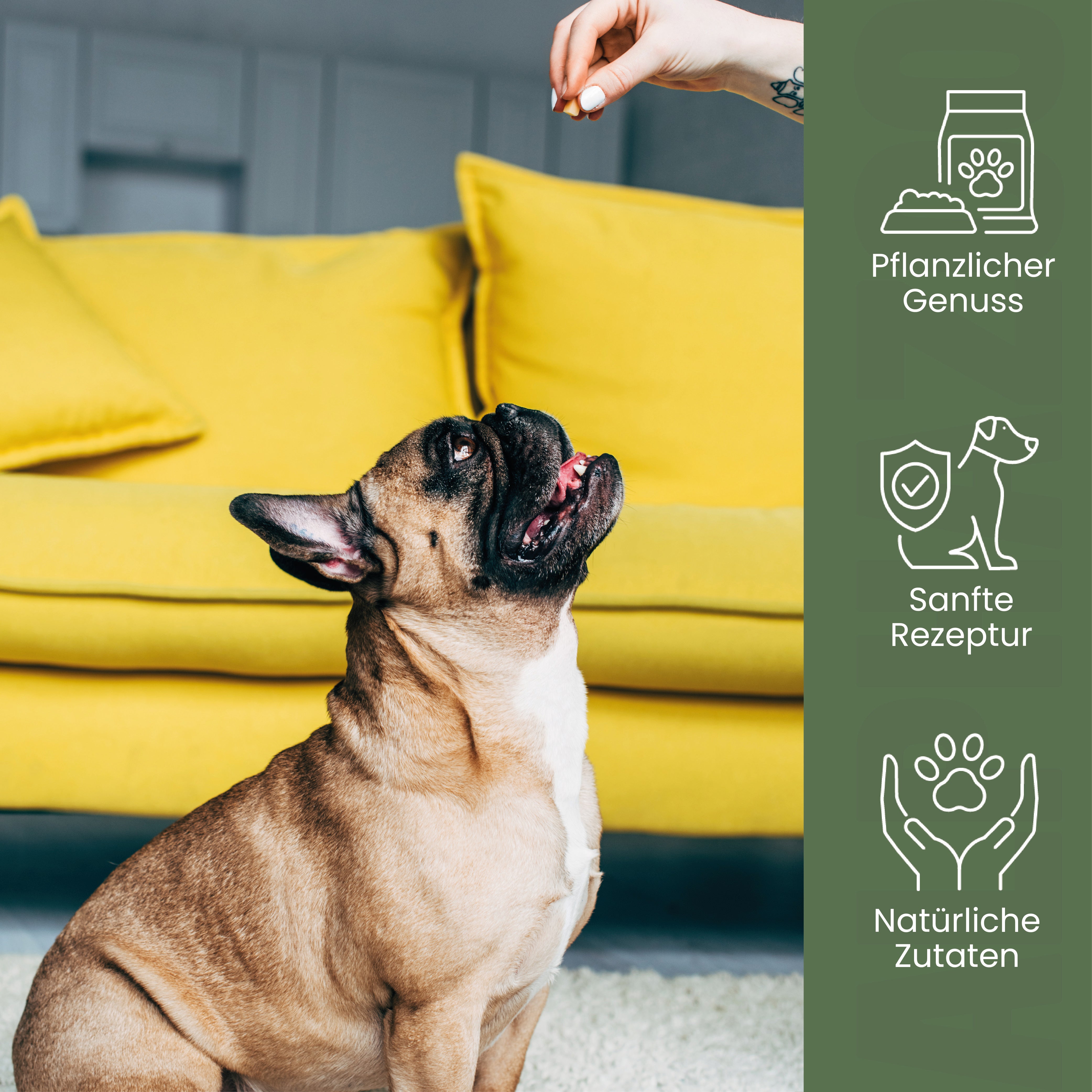 Grüner wird's nicht Vegetarische Snacks für Hunde - Karotten-Karate | alphazoo