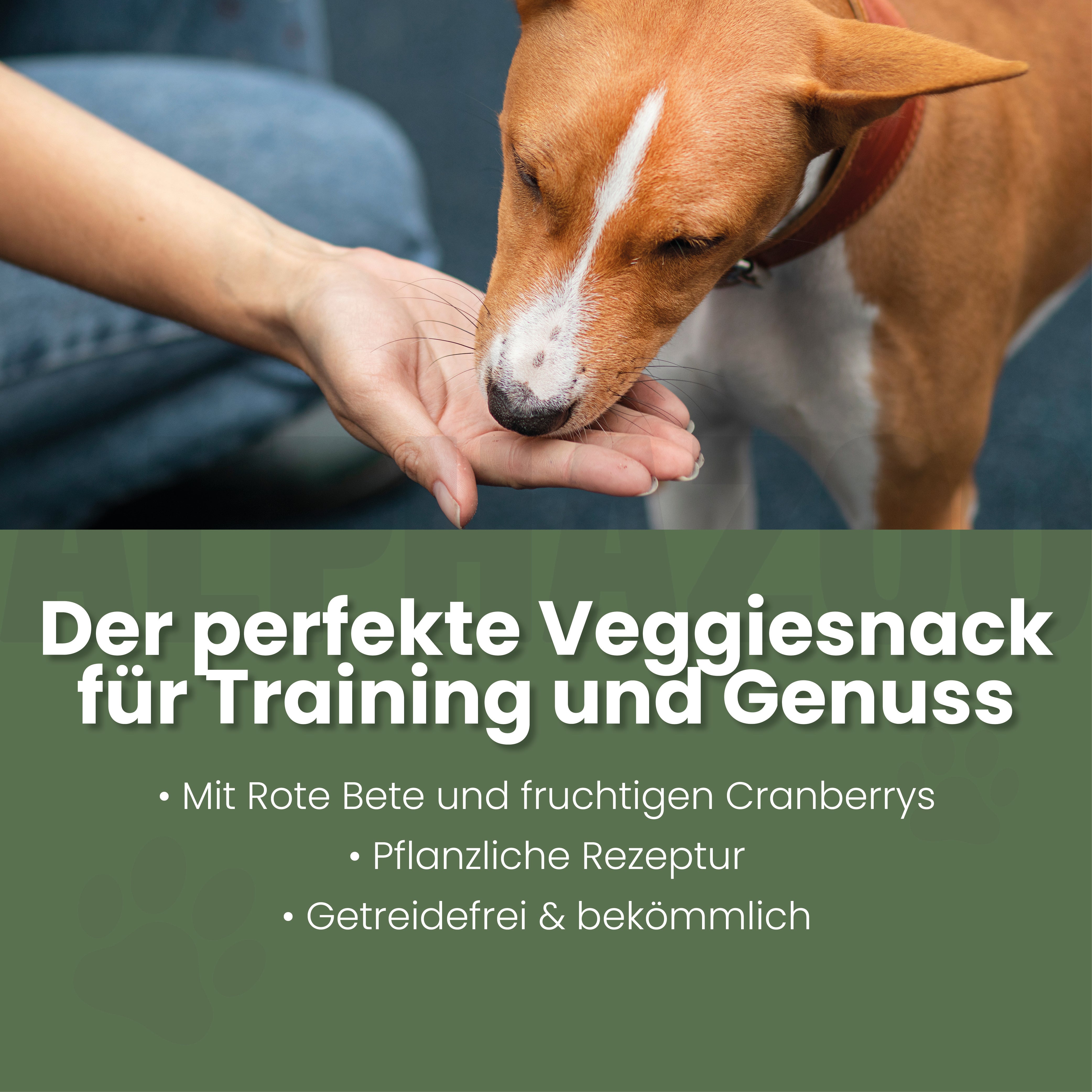 Grüner wird's nicht Vegetarische Snacks für Hunde - Karotten-Karate | alphazoo