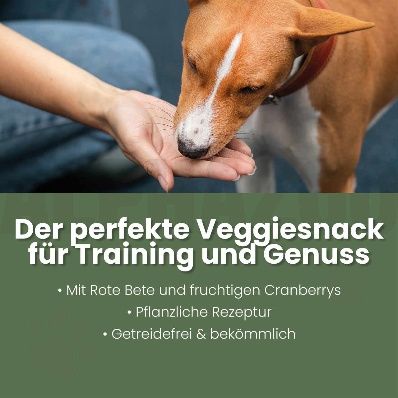 
                      Grüner wird's nicht Vegetarische Snacks für Hunde - Karotten-Karate | alphazoo
                      