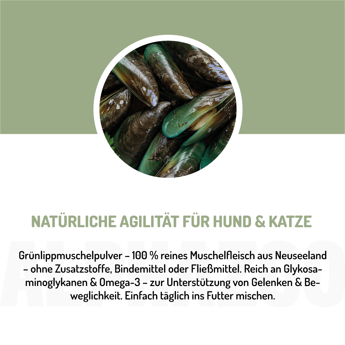 Green-lipped mussel powder for dogs & cats I full-fat green-lipped mussel Green-lipped mussel – joint powder to support mobility