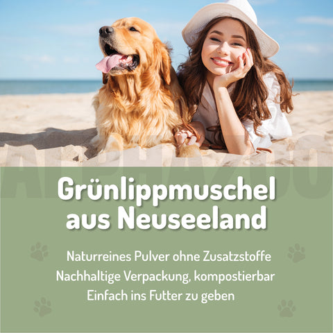 Grünlippmuschel-Pulver