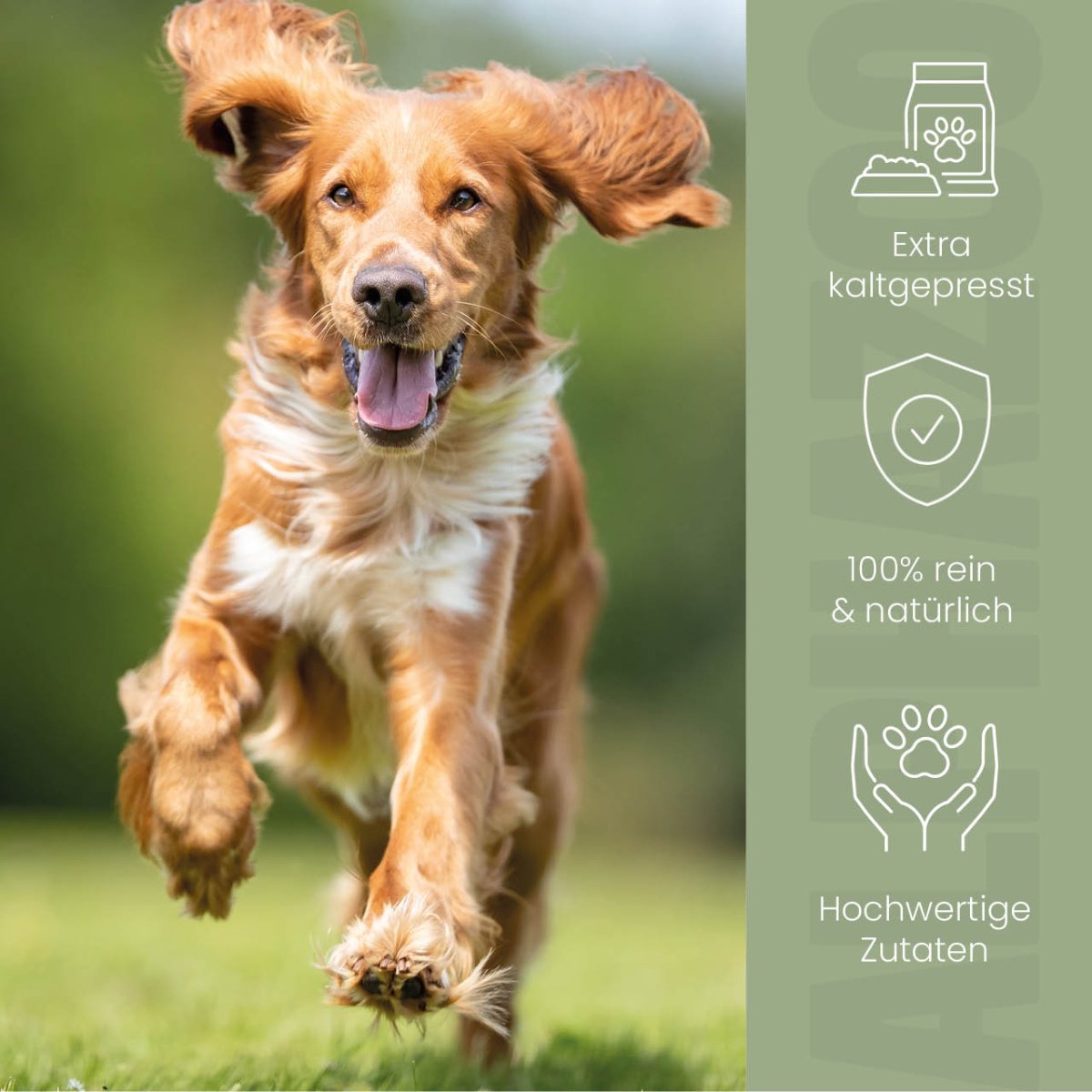 
                      Hanföl für Hunde Hanföl für Hunde – harmonische Ergänzung beim Barfen. 100 % naturbelassen & reich an Omega-3, -6 & -9 Fettsäuren. 
                      