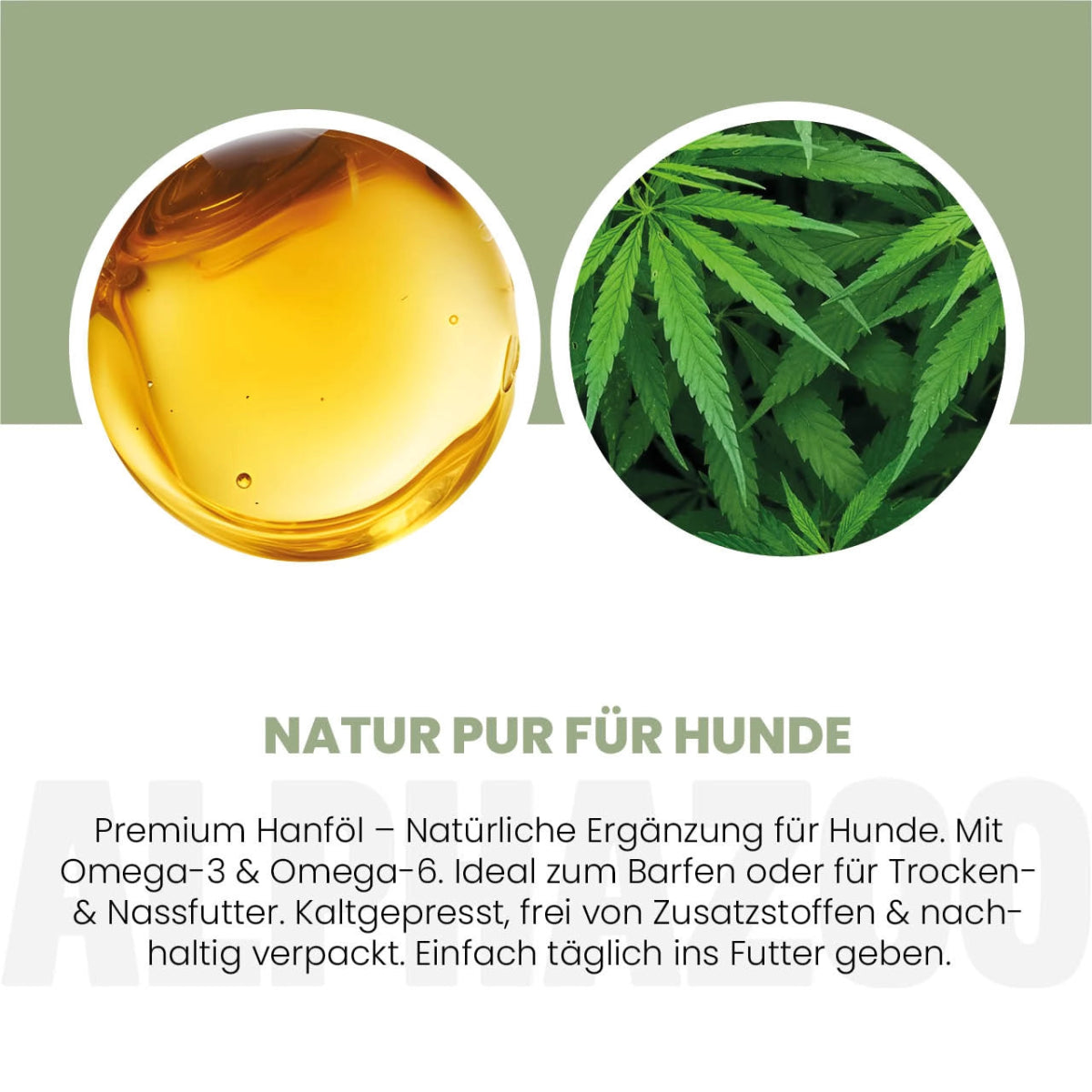 
                      Hanföl für Hunde Hanföl für Hunde – harmonische Ergänzung beim Barfen. 100 % naturbelassen & reich an Omega-3, -6 & -9 Fettsäuren. 
                      