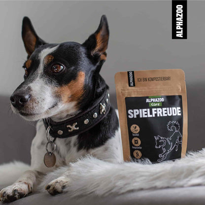 Spielfreude Tabletten für Hunde I Bewegungsfreude & Agility Tabs