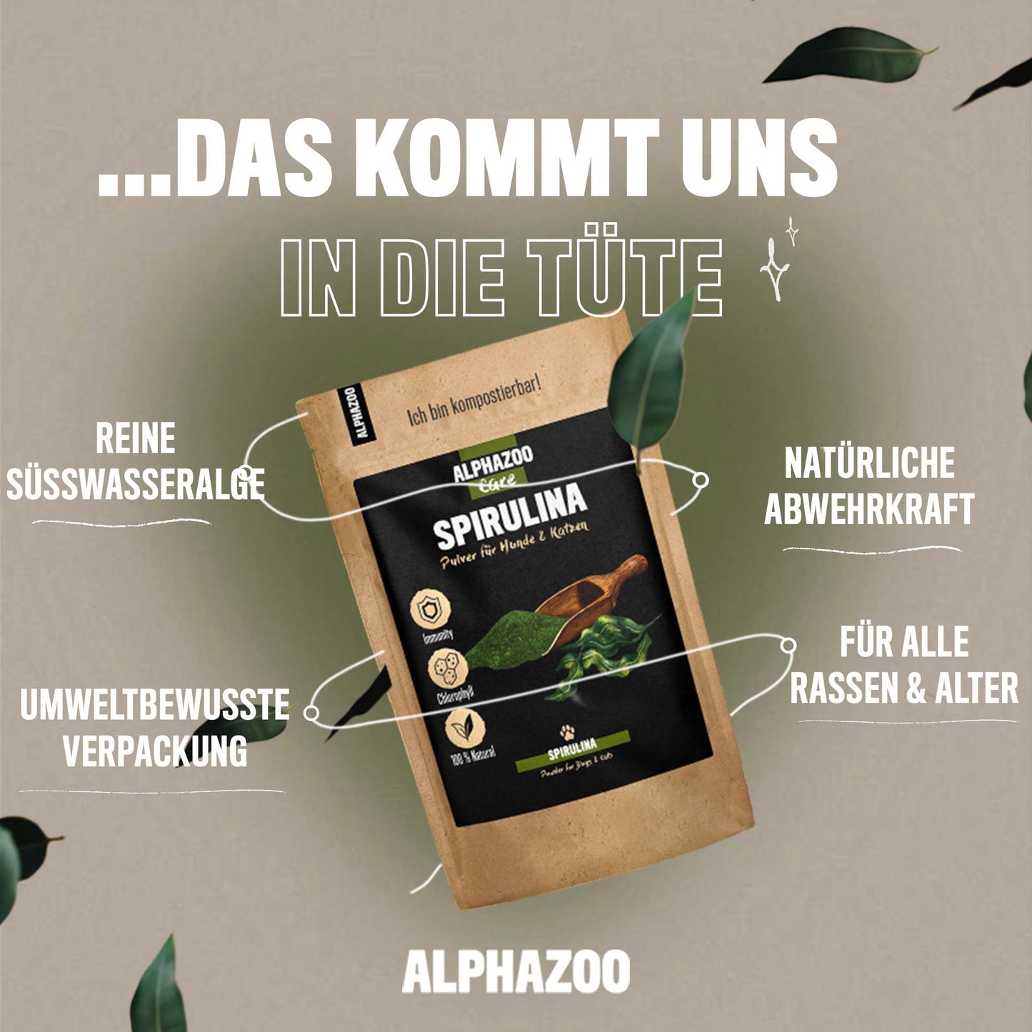 Spirulina Pulver für Hunde & Katzen I Chlorophyll Algenpulver