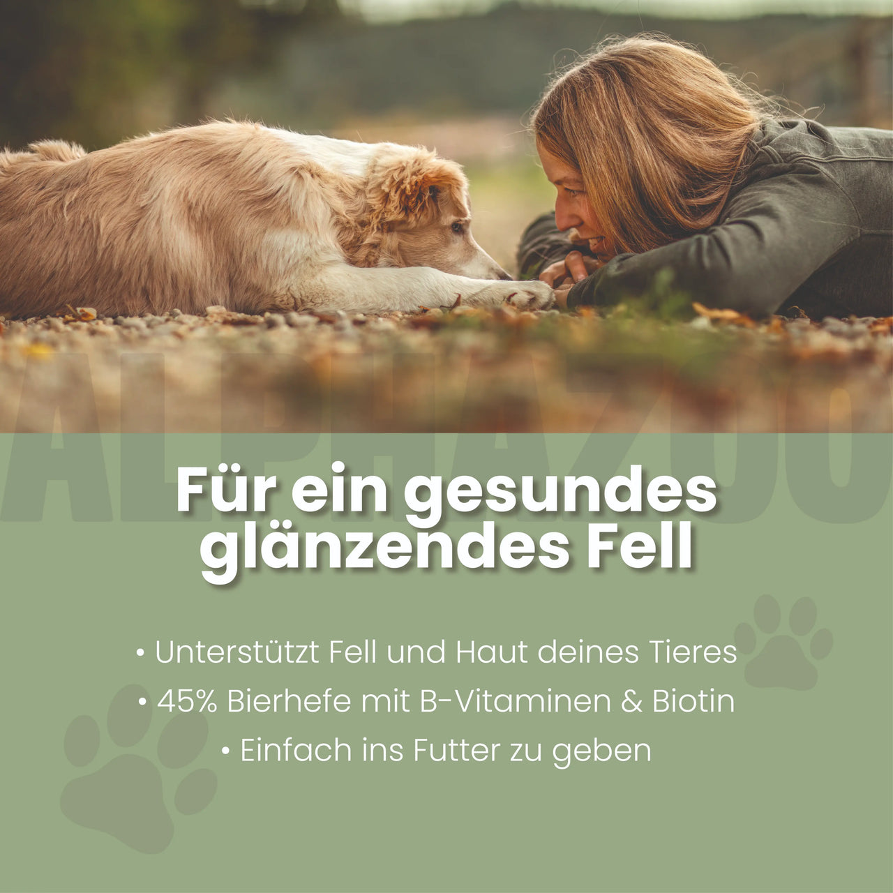 
                      Bierhefe Tabletten Bierhefe Tabletten – Biotin & B-Vitamine für Hunde & Katzen
                      