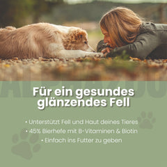 Bierhefe Tabletten für Hunde