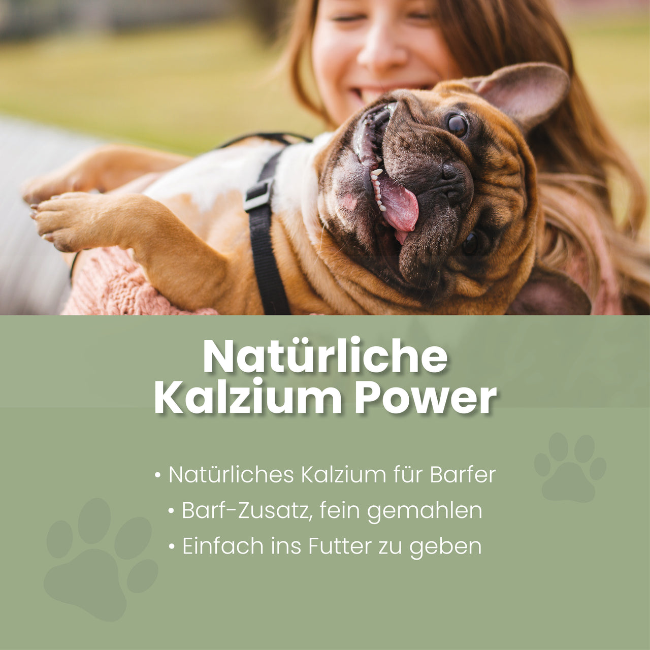 
                      Eggshell powder for dogs & cats I Calcium from eggshells Eggshell powder for dogs & cats – Natural calcium source for bones & teeth
                      