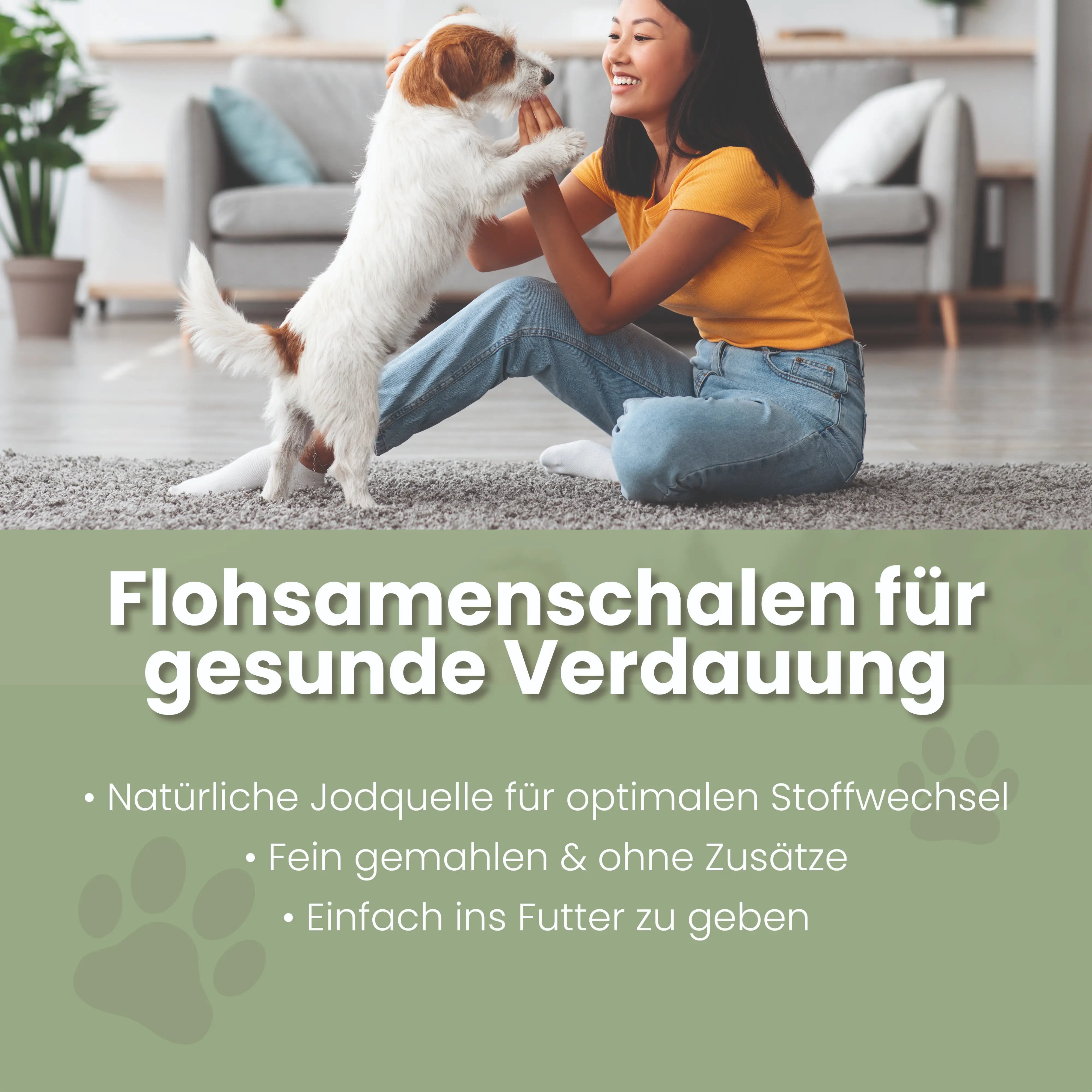 Ground psyllium husks for dogs and cats I Indian Psyllium Husks Psyllium husks for dogs & cats – a natural source of fiber to gently support digestion & intestinal balance