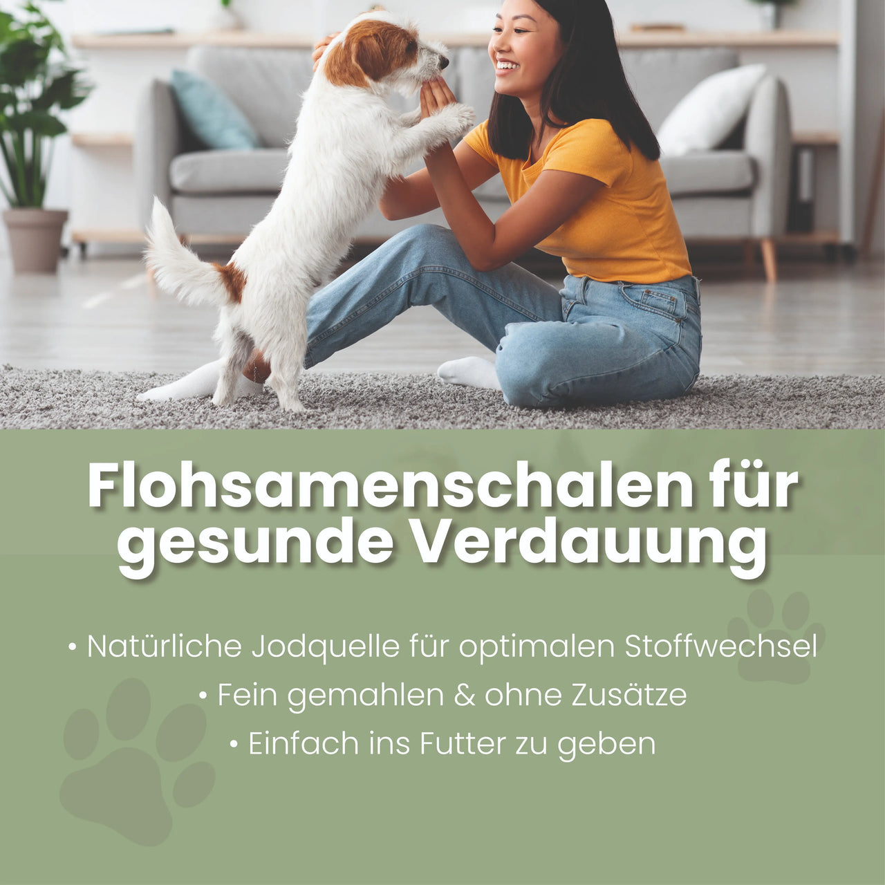 
                      Ground psyllium husks for dogs and cats I Indian Psyllium Husks Psyllium husks for dogs & cats – a natural source of fiber to gently support digestion & intestinal balance
                      