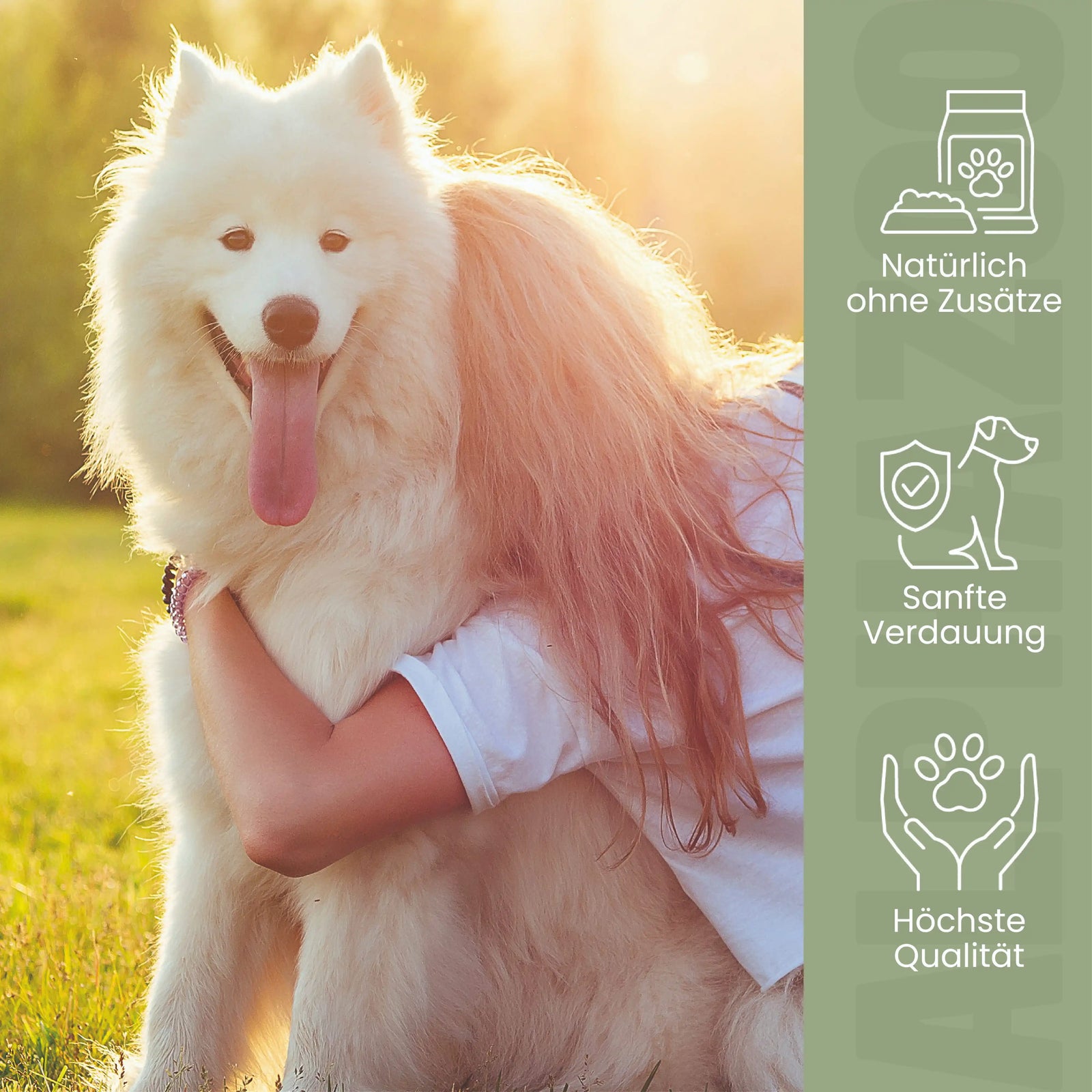 Flohsamenschalen gemahlen für Hunde