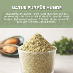 Grünlippmuschel-Pulver für Hunde