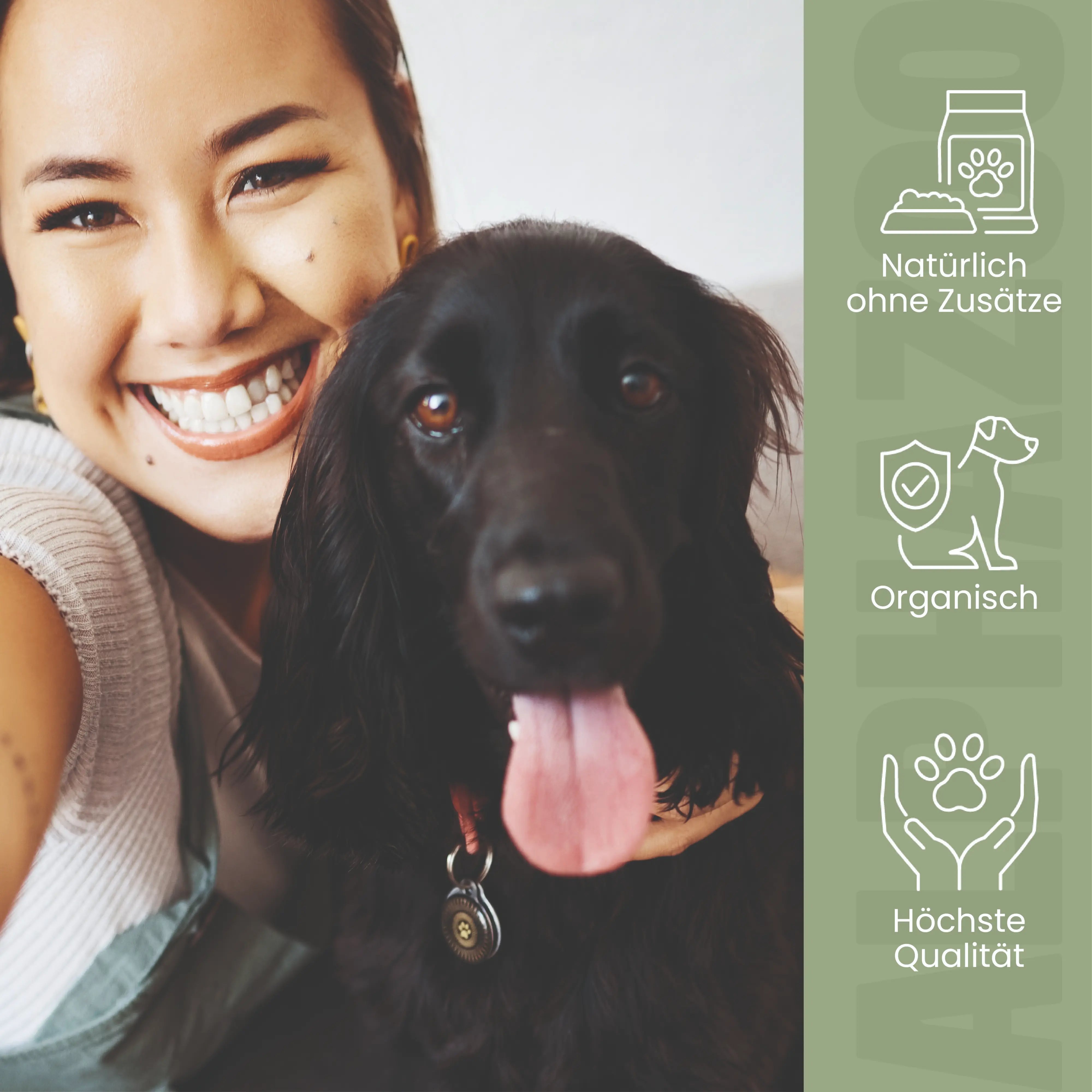 MSM powder for dogs & cats I Organic sulfur for agility MSM powder – supports healthy joint function