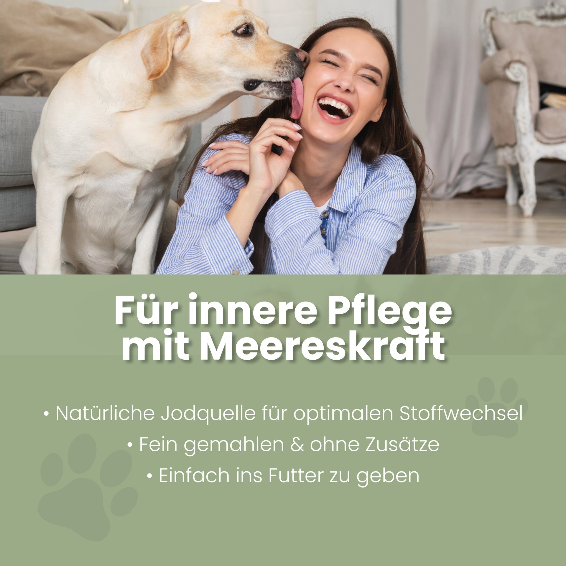 Seealgenmehl