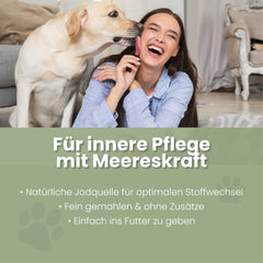 Seealgenmehl für Hunde