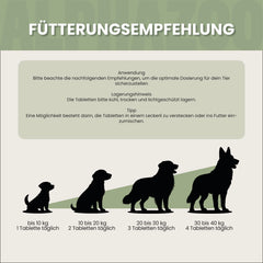 Spielfreude Tabletten