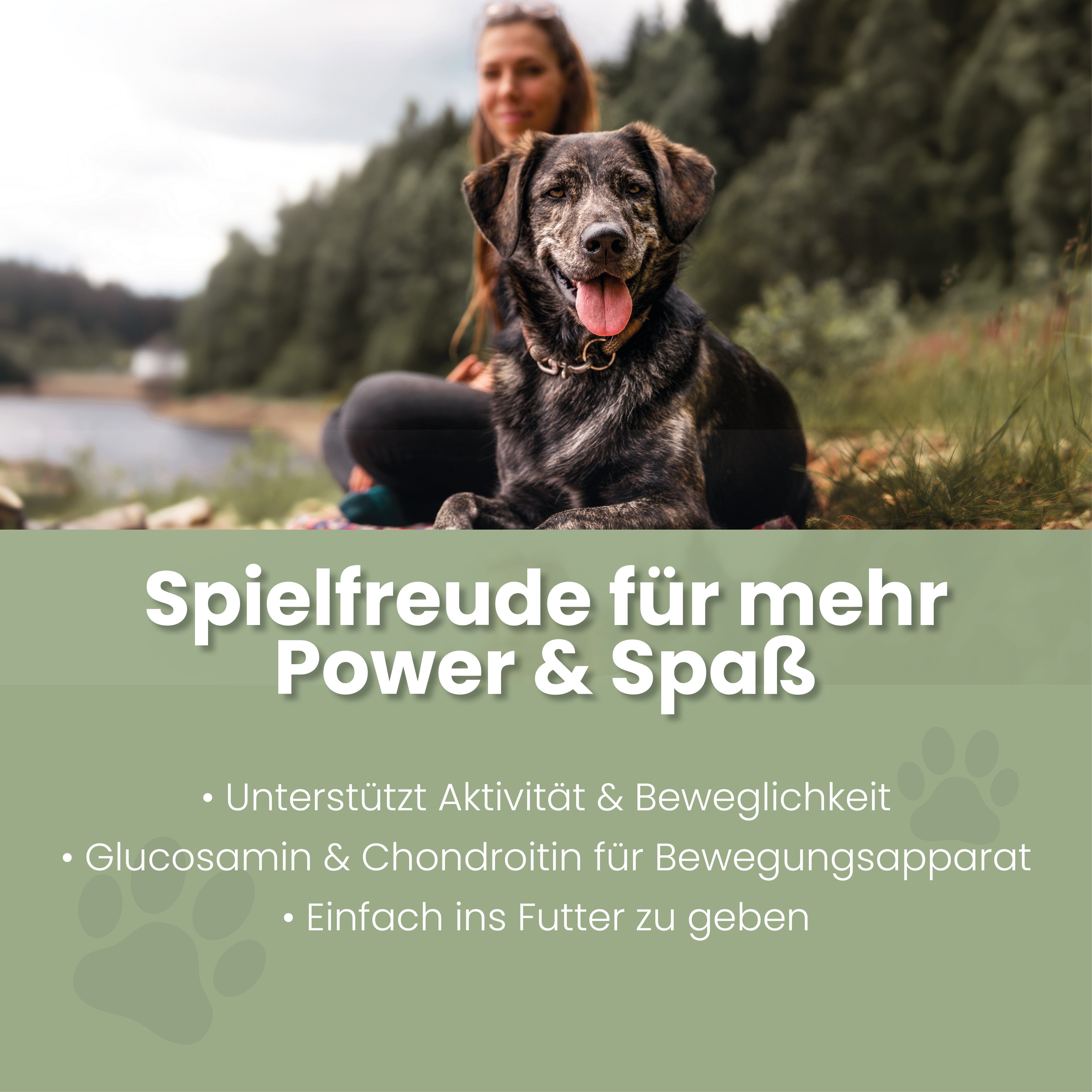 Spielfreude Tabletten Spielfreude Tabletten – Ergänzungsfutter für Hunde