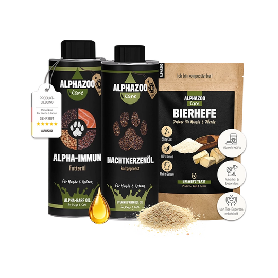 Immune System Combo I Bundle