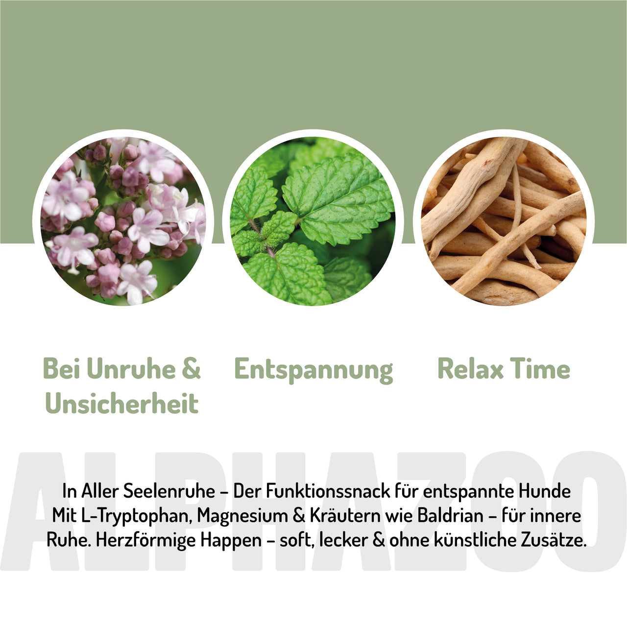 
                      In Aller Seelenruhe In Aller Seelenruhe – entspannter Hundesnack mit Baldrian, Melisse & Ashwagandha.
                      