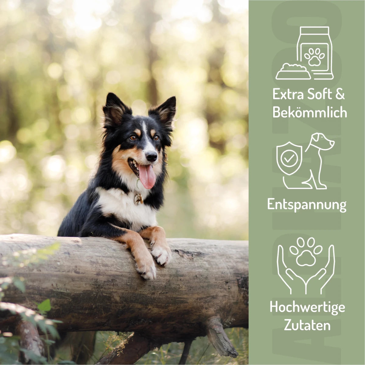 In Aller Seelenruhe In Aller Seelenruhe – entspannter Hundesnack mit Baldrian, Melisse & Ashwagandha.
