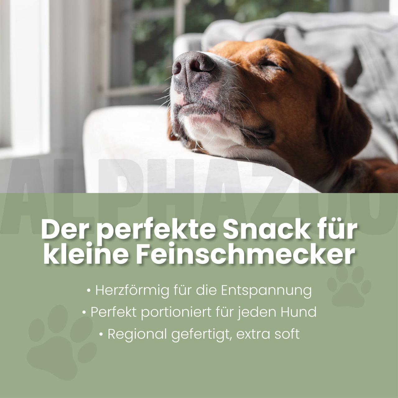 
                      In Aller Seelenruhe In Aller Seelenruhe – entspannter Hundesnack mit Baldrian
                      