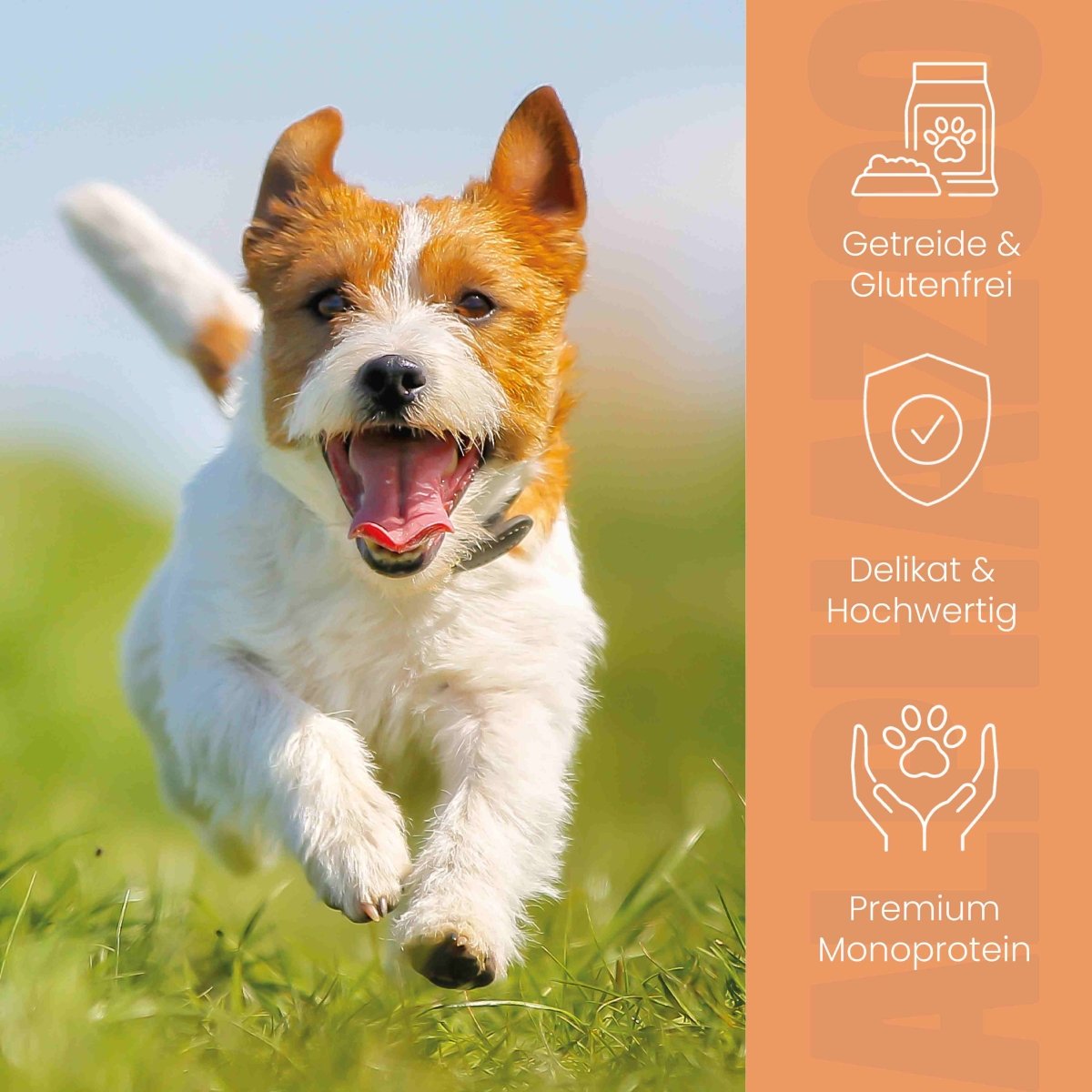 
                      Rabbit and veal wet food for senior dogs alphazoo wet food with rabbit and veal for older dogs
                      