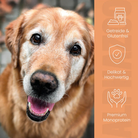 Kaninchen + Kalb Nassfutter für Senior Hunde alphazoo Nassfutter mit Kaninchen + Kalb für ältere Hunde