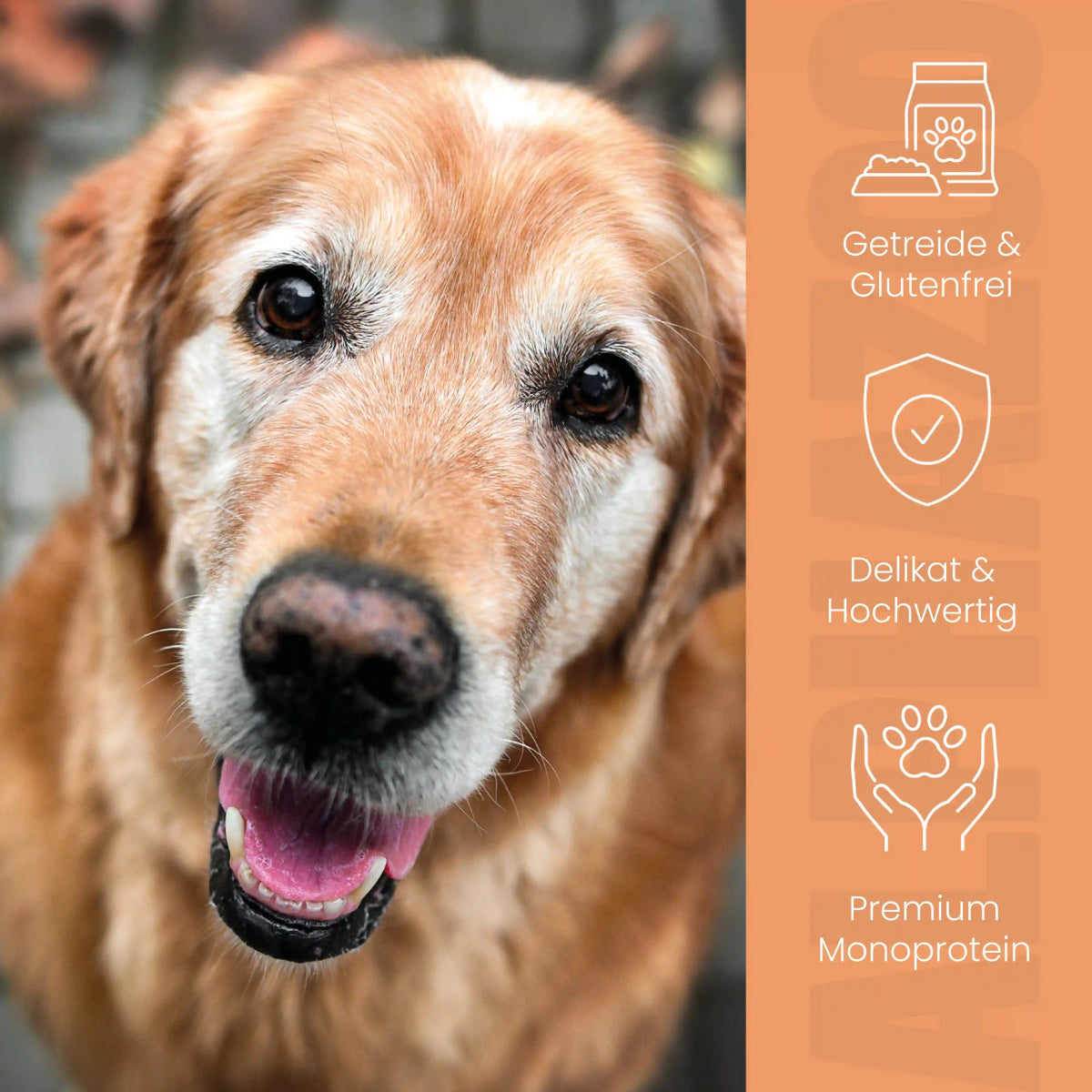 Kaninchen + Kalb Nassfutter für Senior Hunde alphazoo Nassfutter mit Kaninchen + Kalb für ältere Hunde