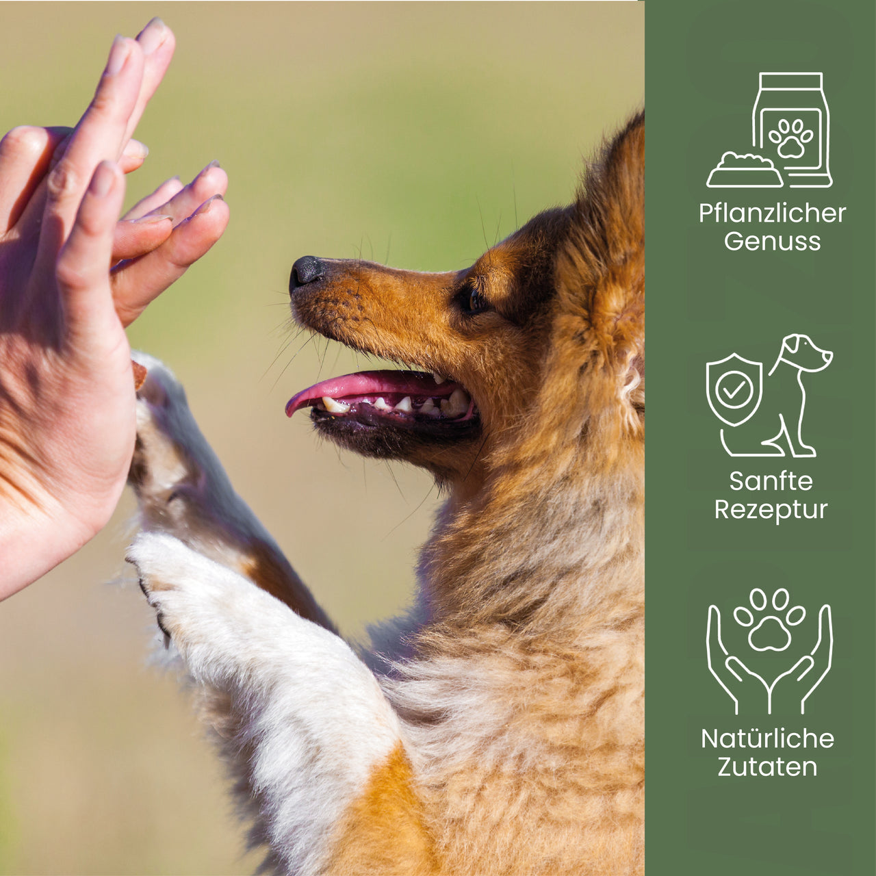 
                      Karotten-Karate Vegetarische Snacks für Hunde - Karotten-Karate | alphazoo
                      
