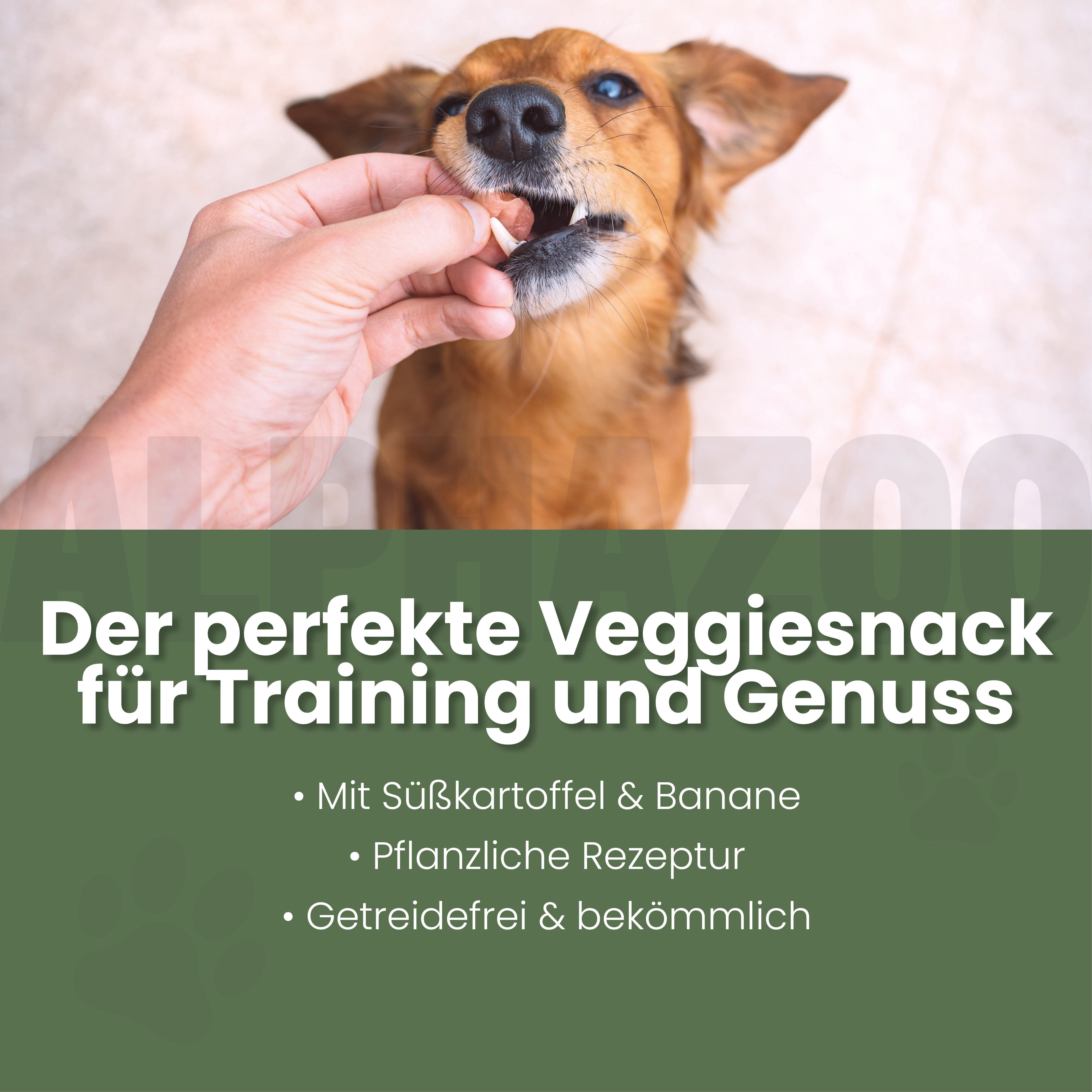 Karotten-Karate Vegetarische Snacks für Hunde - Karotten-Karate | alphazoo