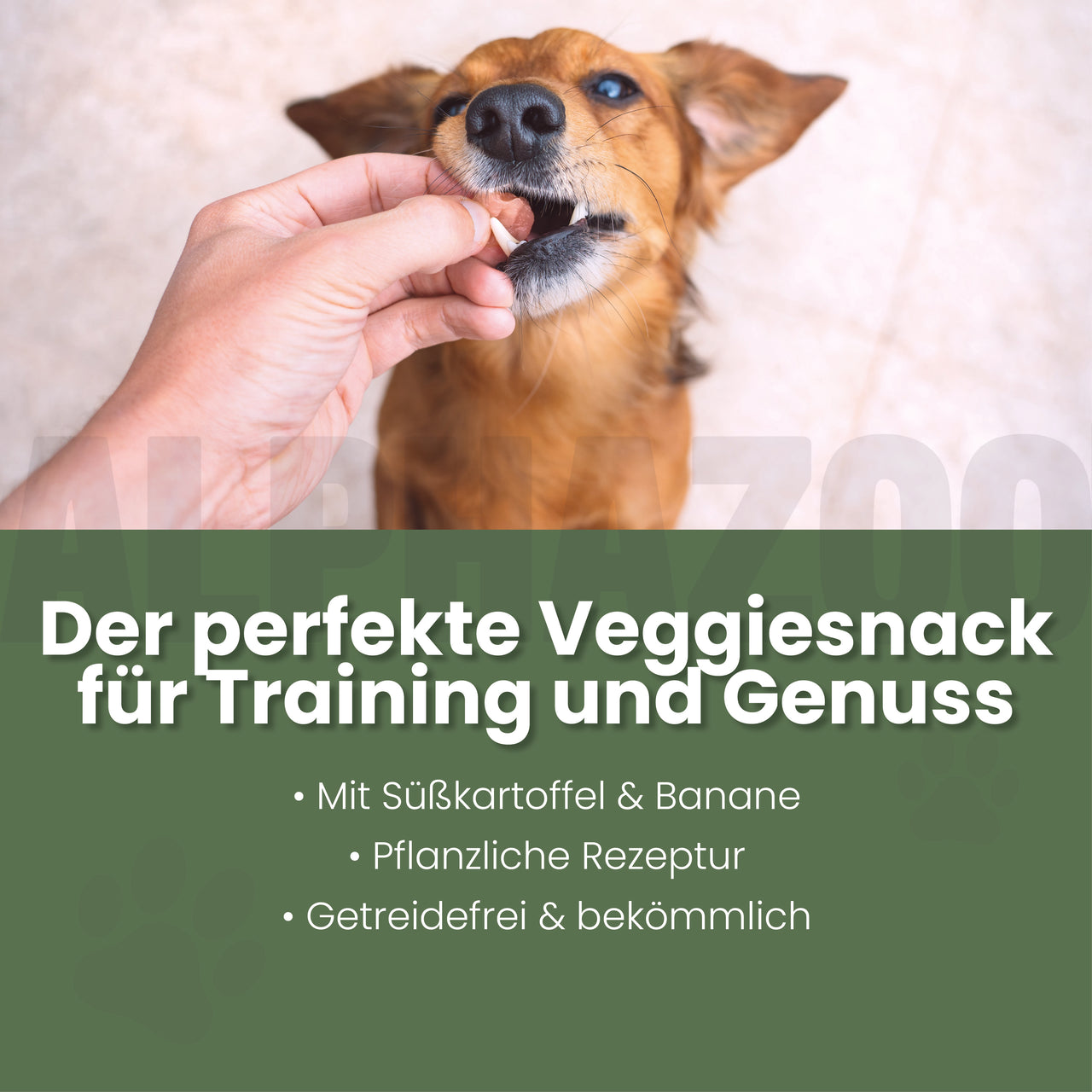 
                      Karotten-Karate Vegetarische Snacks für Hunde - Karotten-Karate | alphazoo
                      