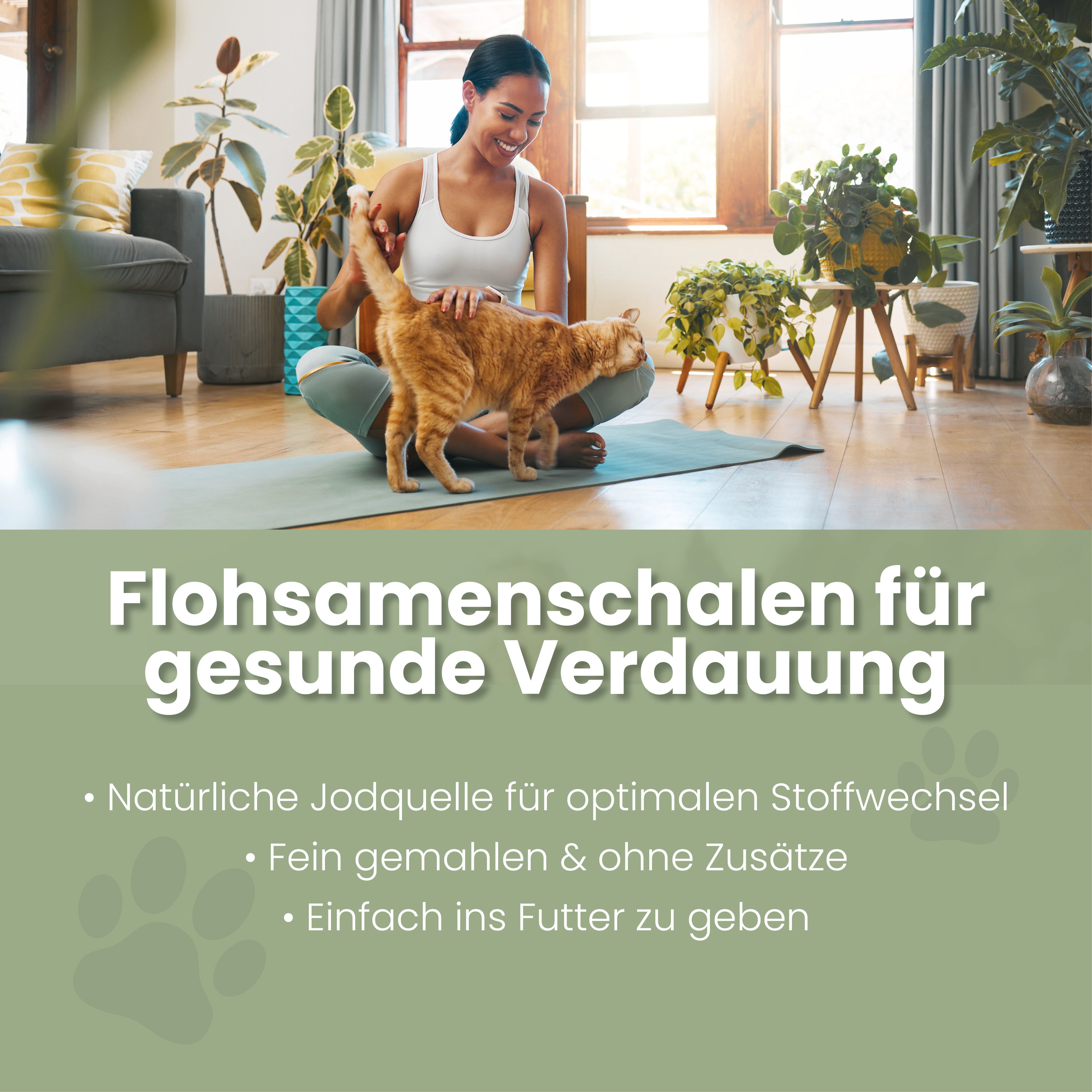 Flohsamenschalen für Katzen Flohsamenschalen Katzen – Fellwechsel & Verdauung