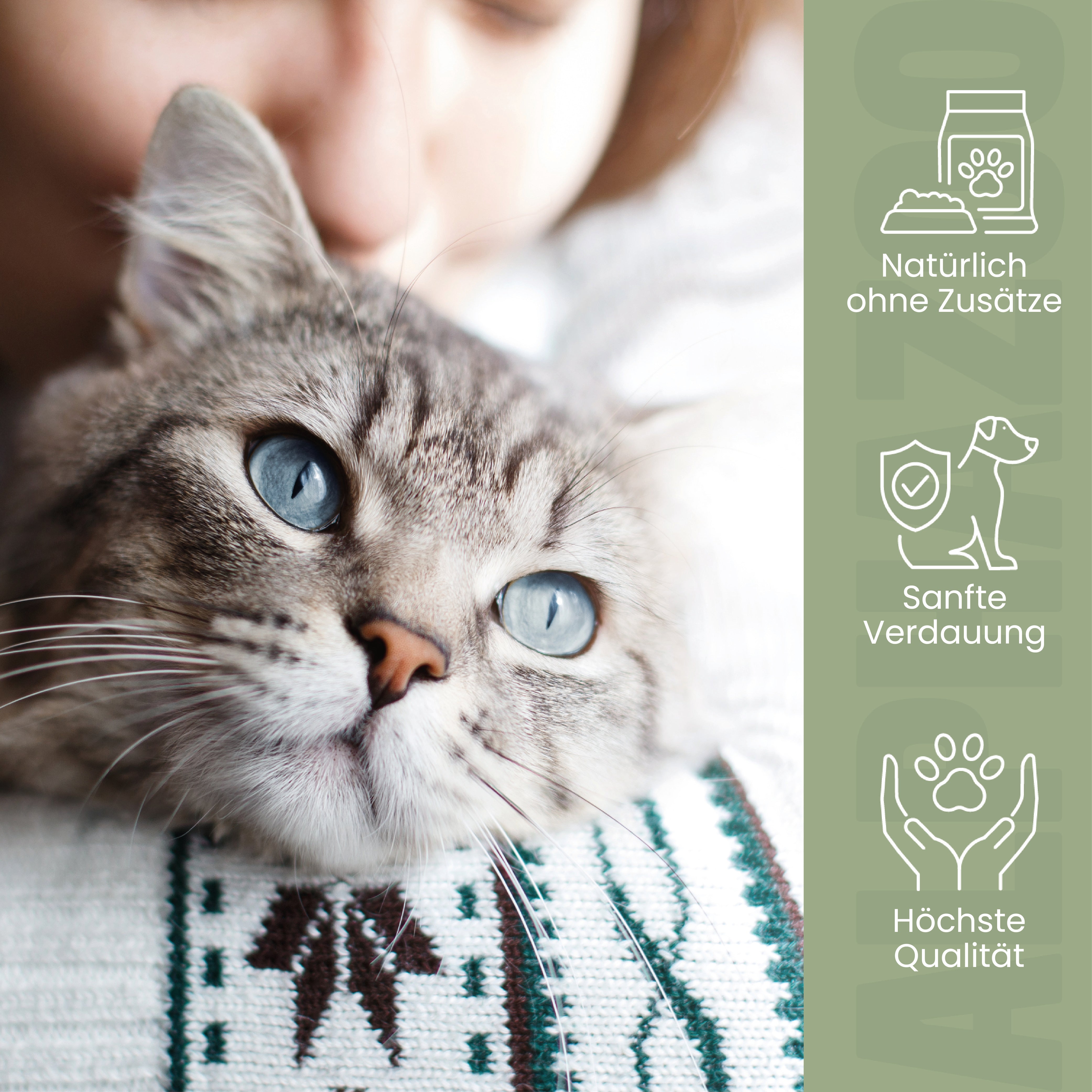 Flohsamenschalen für Katzen Flohsamenschalen Katzen – Fellwechsel & Verdauung