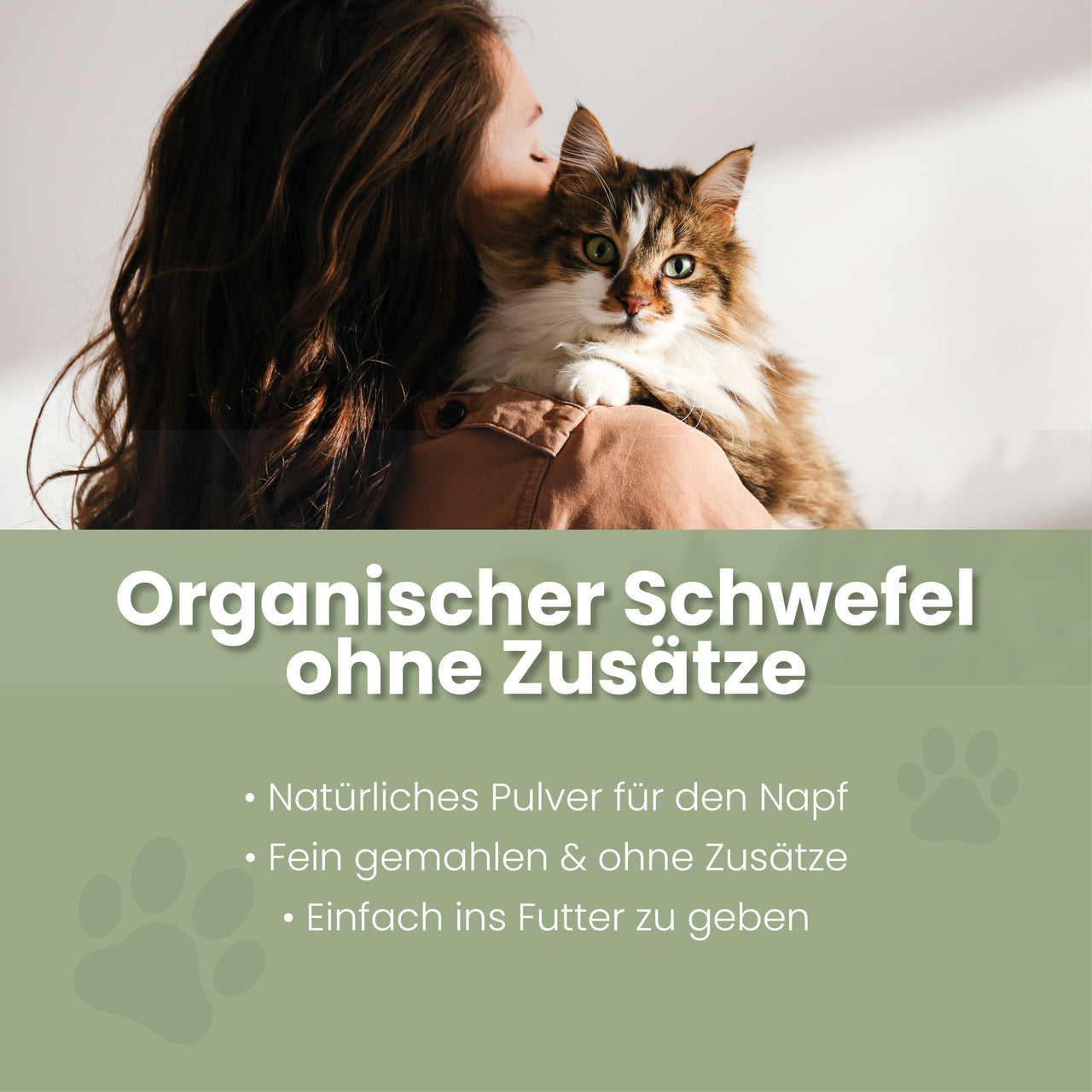 
                      MSM Pulver für Katzen MSM Pulver Katzen – Fell & Bindegewebe
                      
