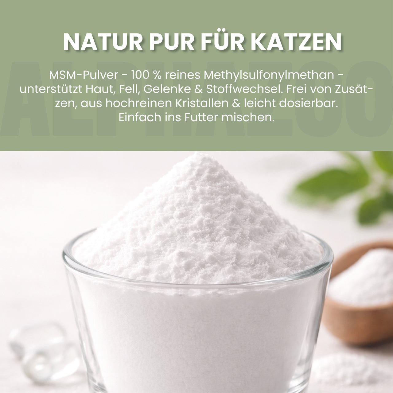 
                      MSM Pulver für Katzen MSM Pulver Katzen – Fell & Bindegewebe
                      