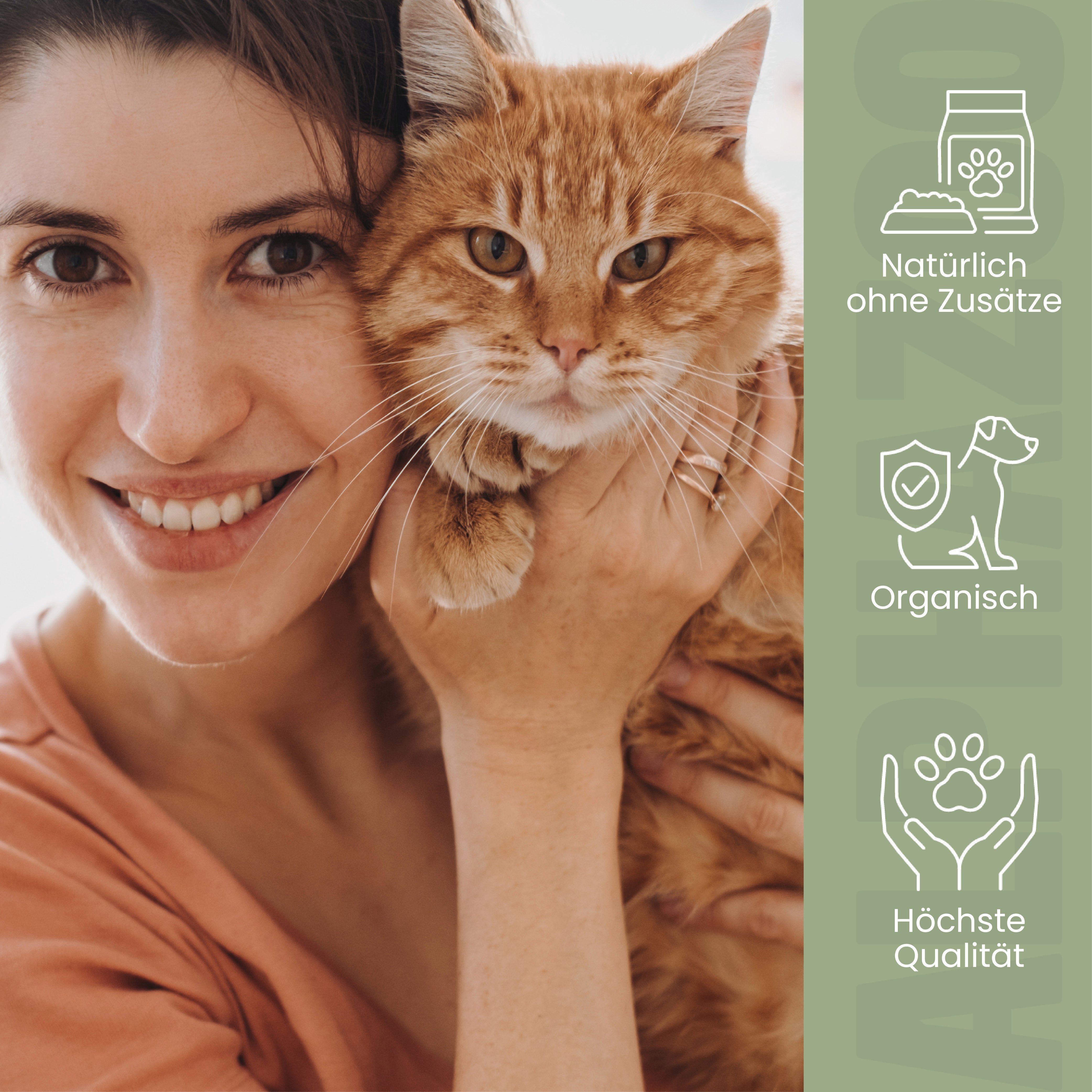 MSM Pulver für Katzen MSM Pulver Katzen – Fell & Bindegewebe