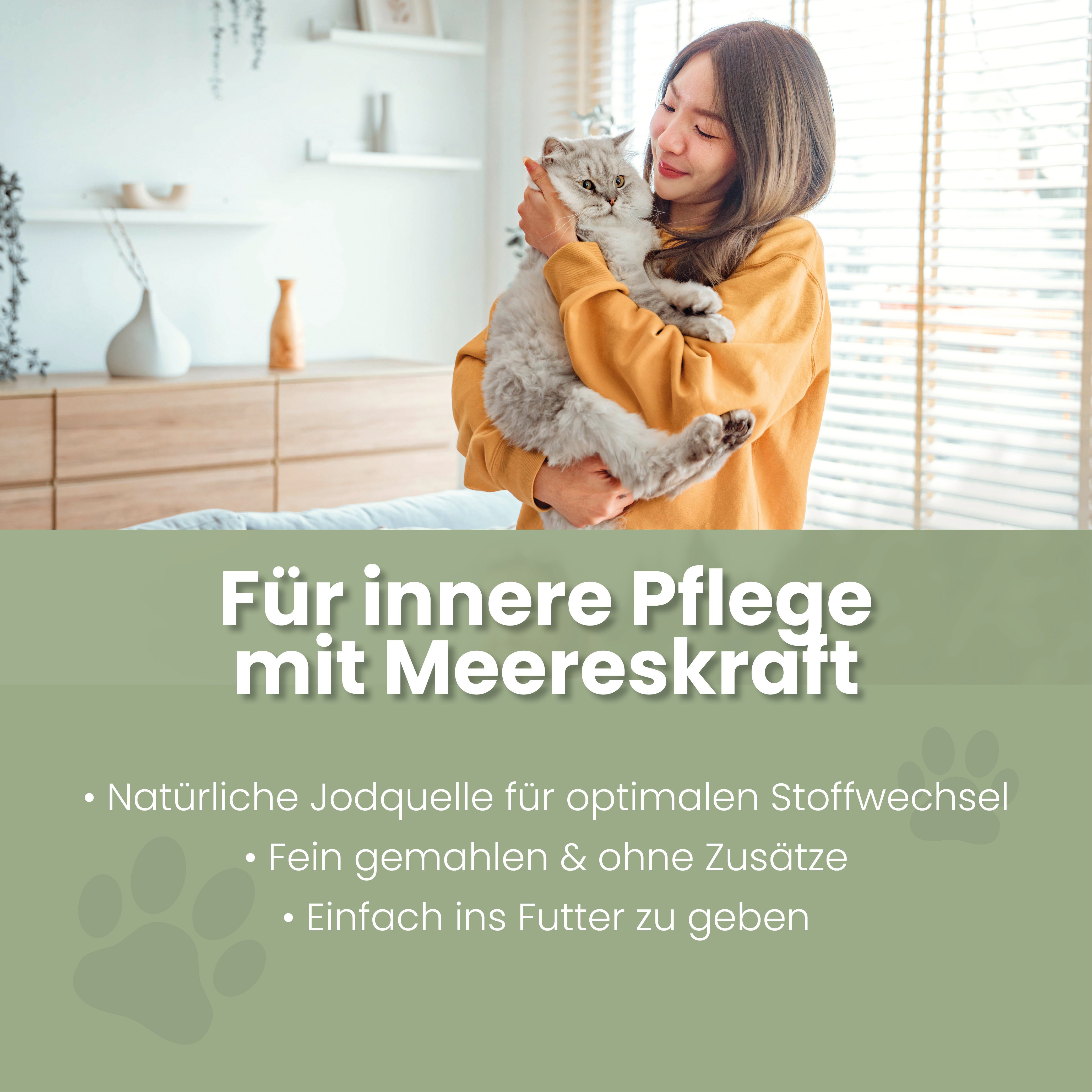 Seealgenmehl für Katzen Seealgenmehl Katzen – Jod & Fellwechsel